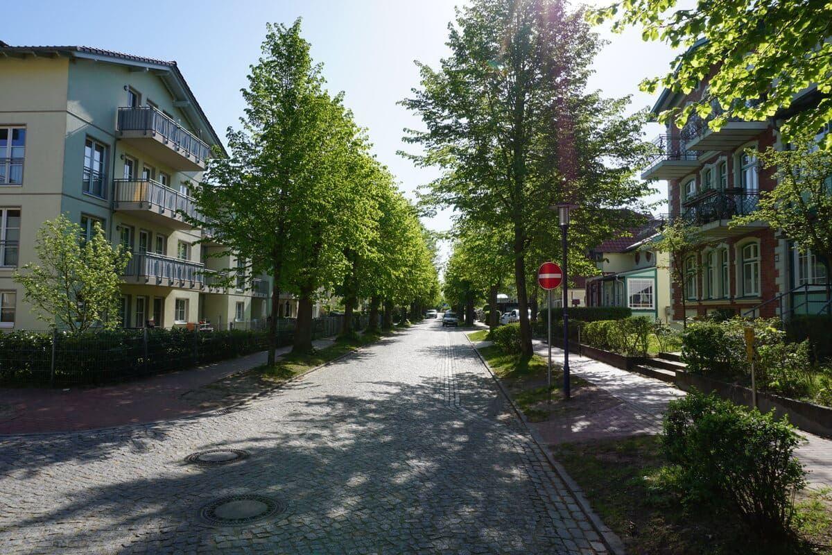 Gehweg mit Bäumen und Wohnhäusern in einer ruhigen Straße.