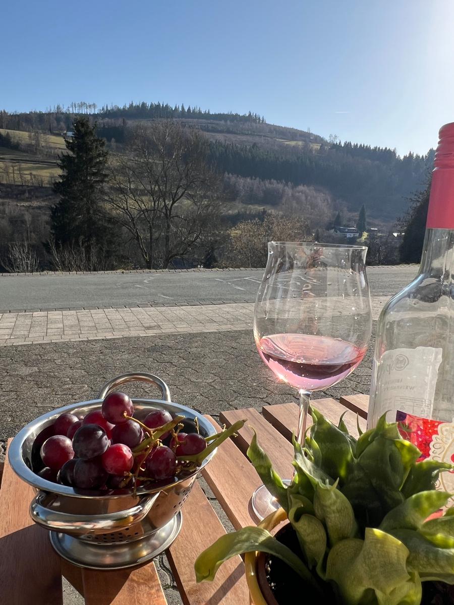 Außenbereich mit wunderschönem Ausblick