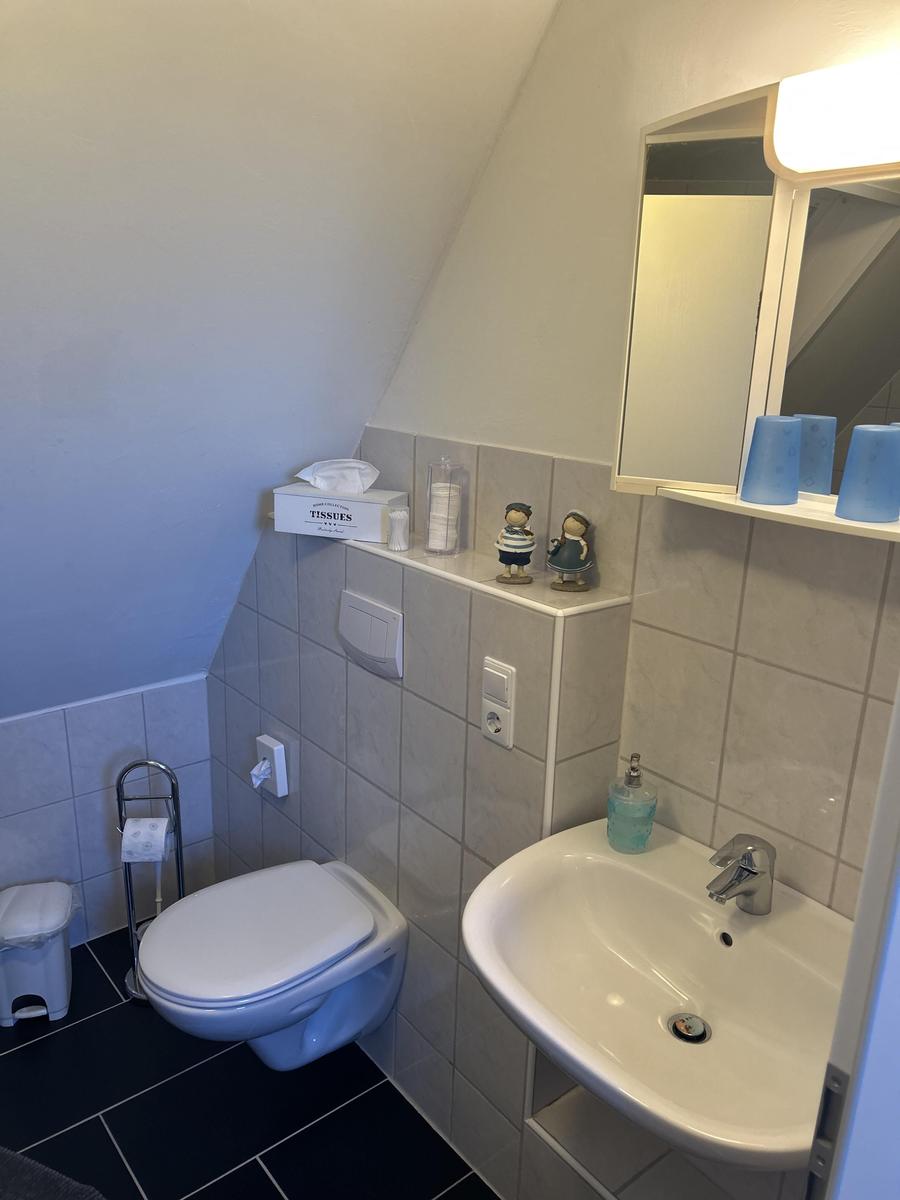 Badezimmer mit Toilette, Waschbecken und Spiegel. Dachschräge, Fliesenwand und blauer Toilettenpapierhalter.