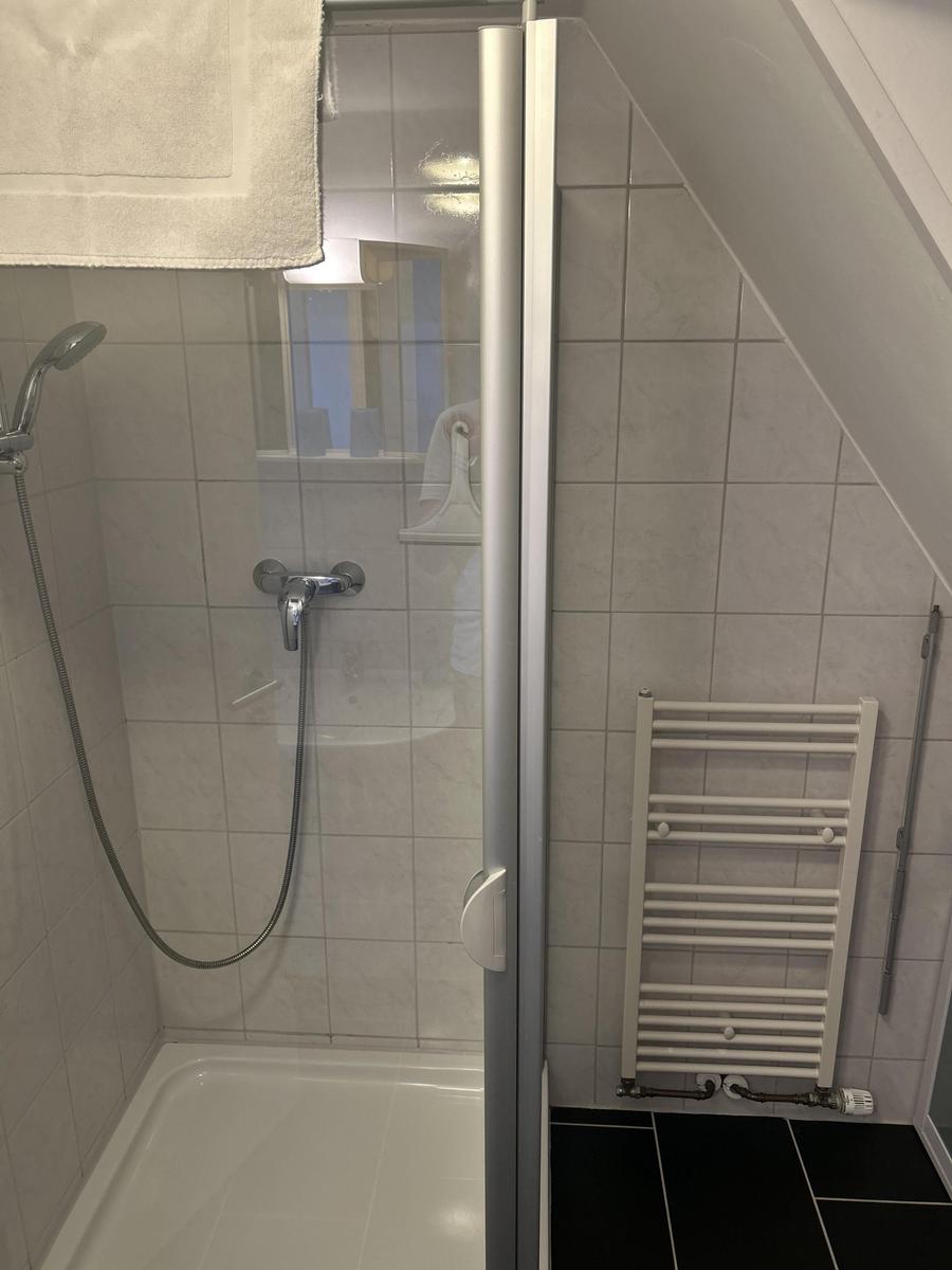 Dusche mit Duschbrause, Handtuchhalter und Heizkörper an der Wand.