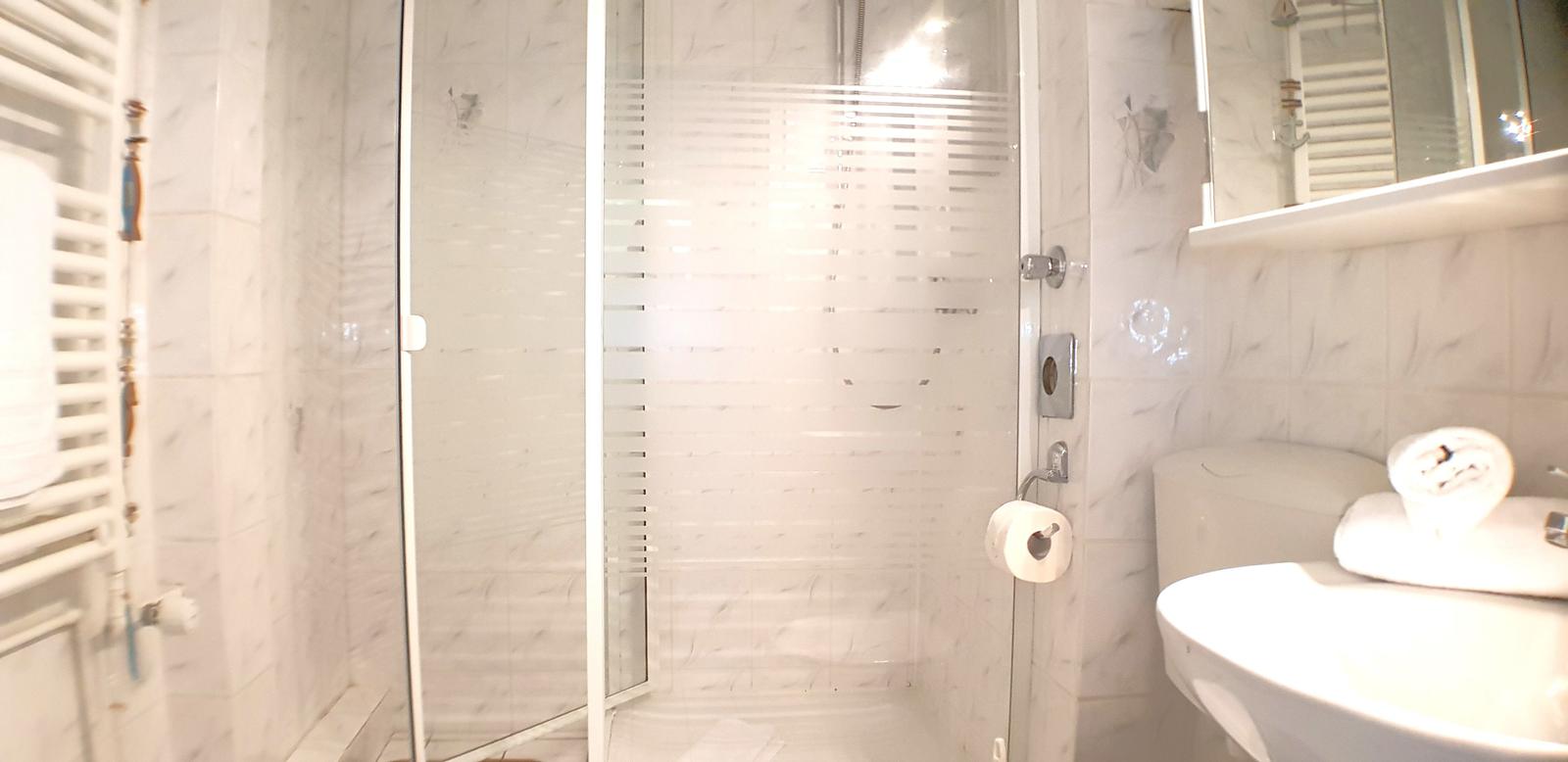 Badezimmer mit Dusche, Waschbecken und Heizung.