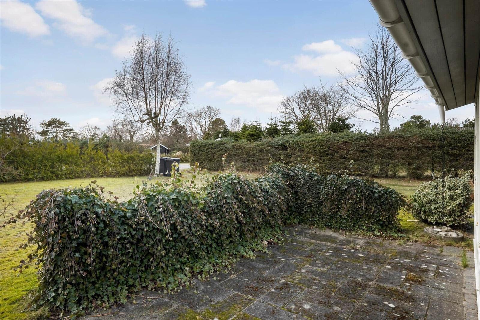 Hinterhof mit Steinplatten, Efeu und Hecke. Blick auf Grünfläche und Bäume.