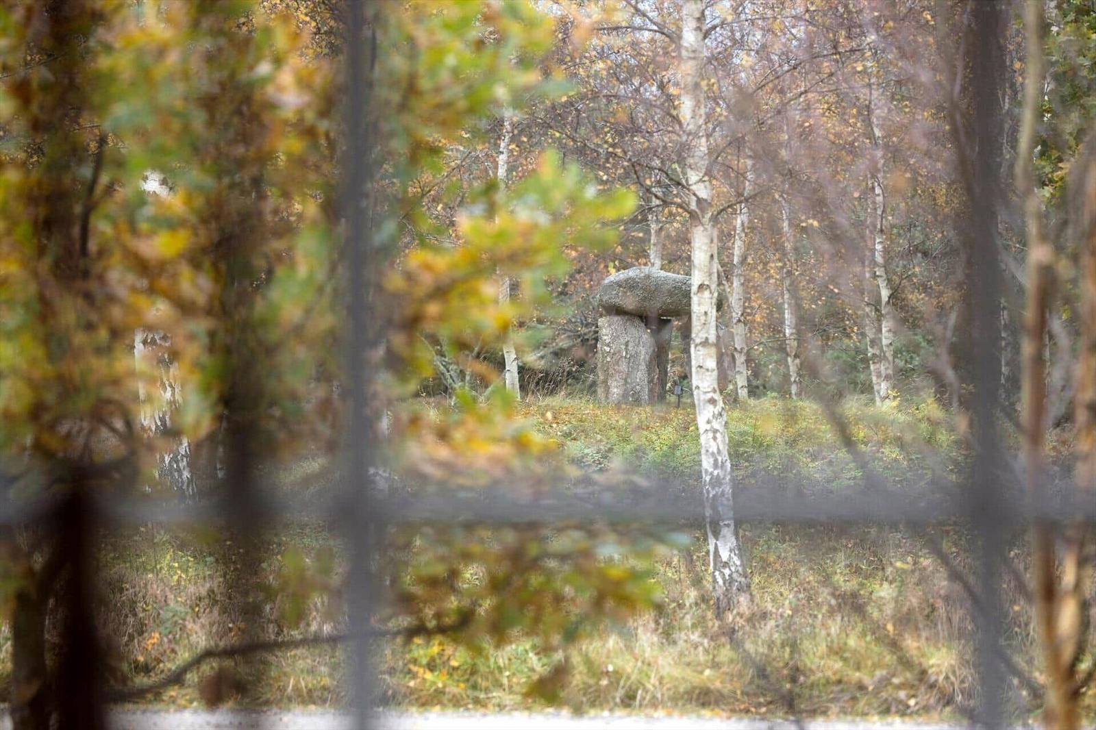 Durch Bäume gesehen: Steinmonument im Herbstwald.