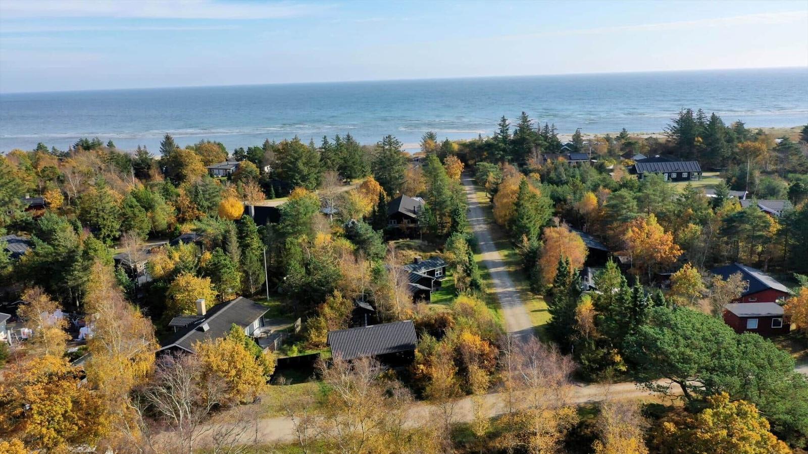 Aerial view of coastal village with houses among autumn trees and ocean in background.