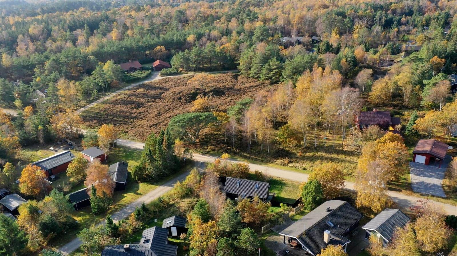 Luftaufnahme von Ferienhäusern in einem Waldgebiet mit Herbstlaub.