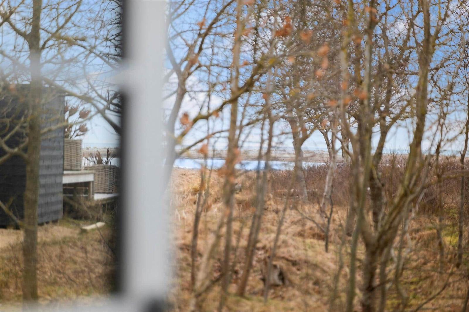 Through trees, a lake and a modern villa are visible.