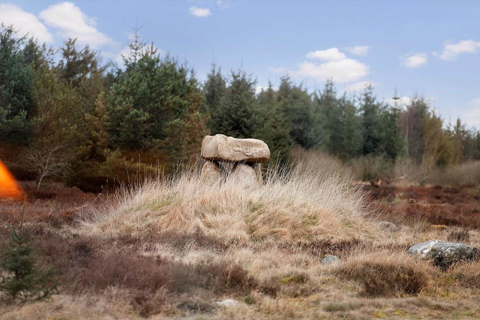 Steinkreis in einer grasbewachsenen Landschaft mit Wald im Hintergrund.