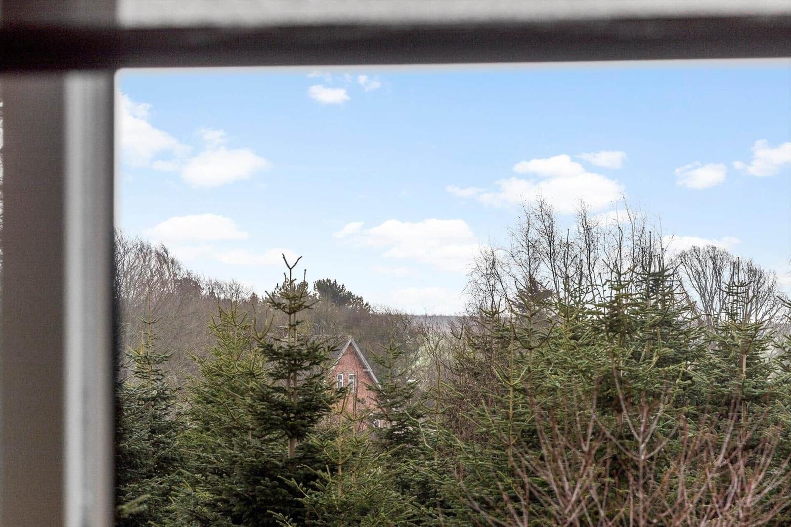 View from the window over a forest with coniferous trees and a house in the background.