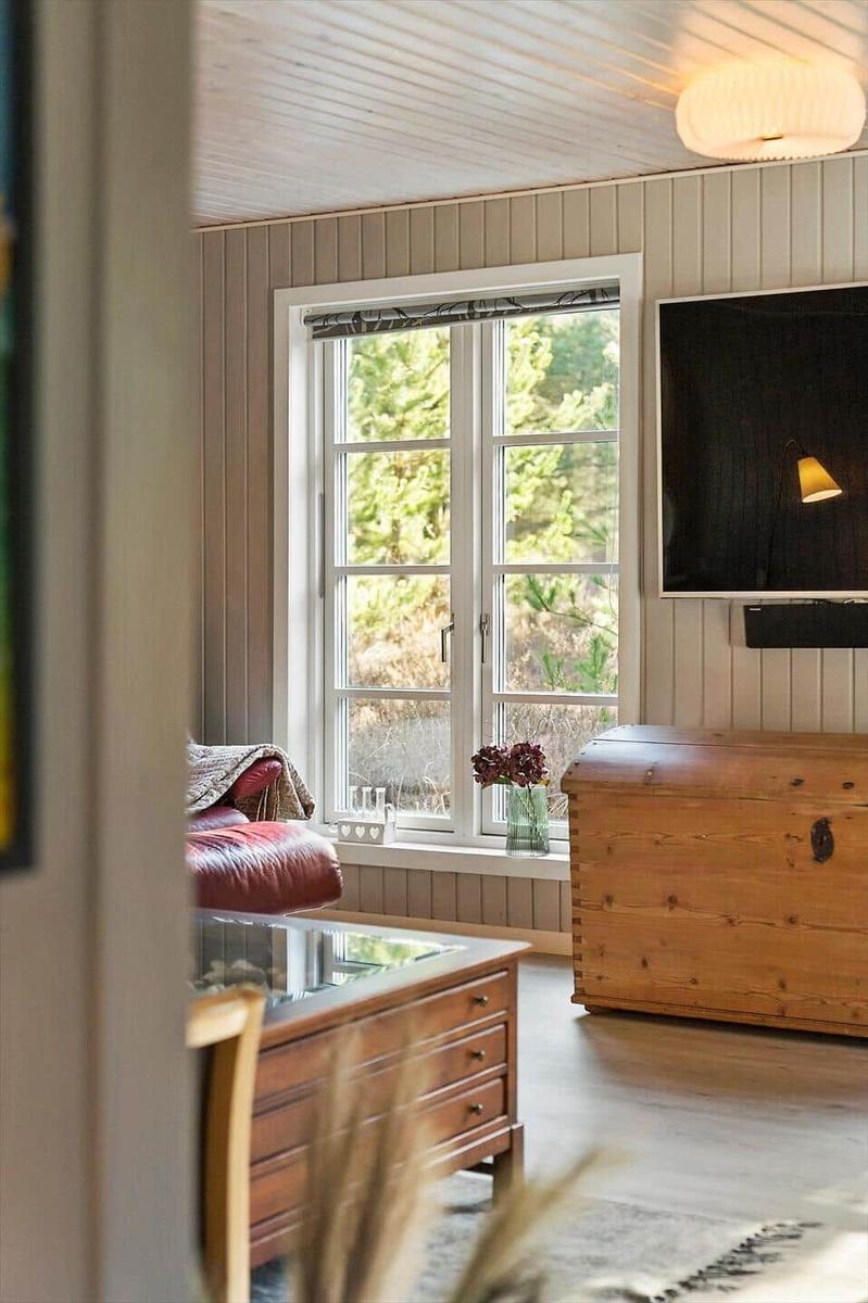 Ein Wohnzimmer mit Holzwand, Fenster und Fernseher.
