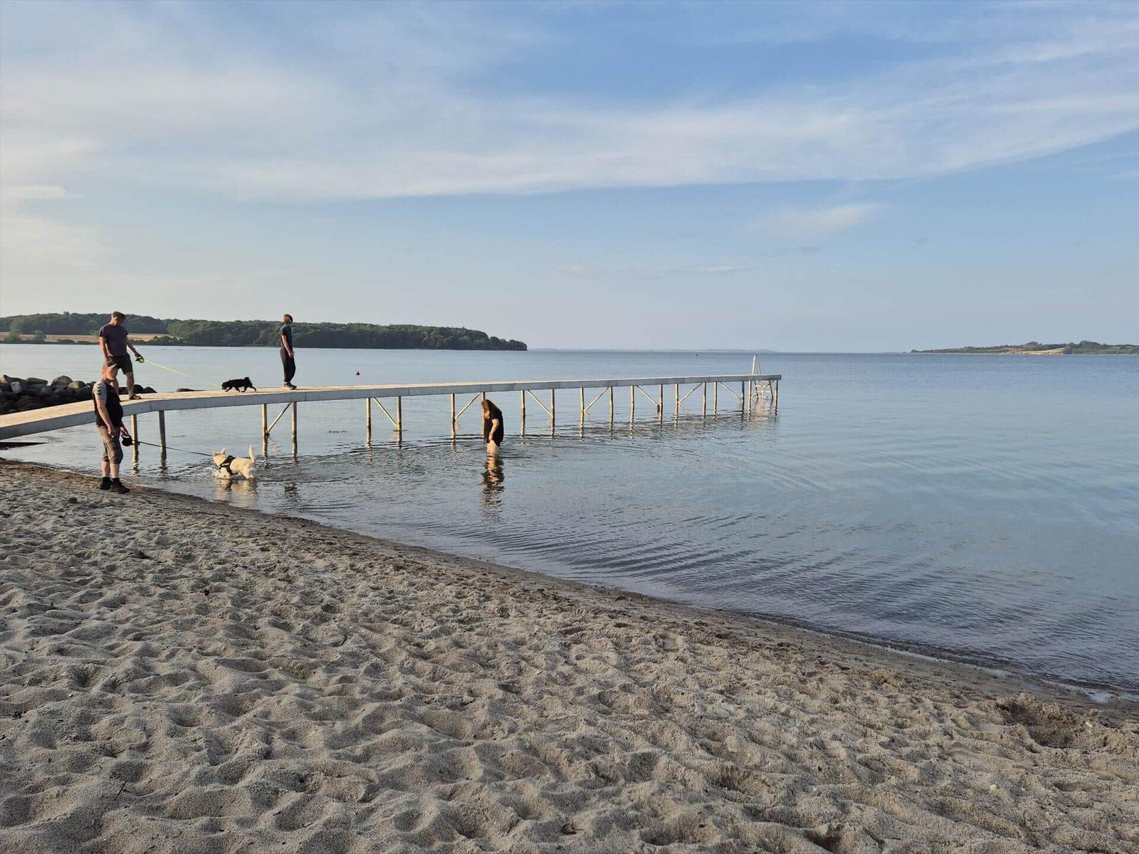 Beach with pier, people, and dogs by the water.