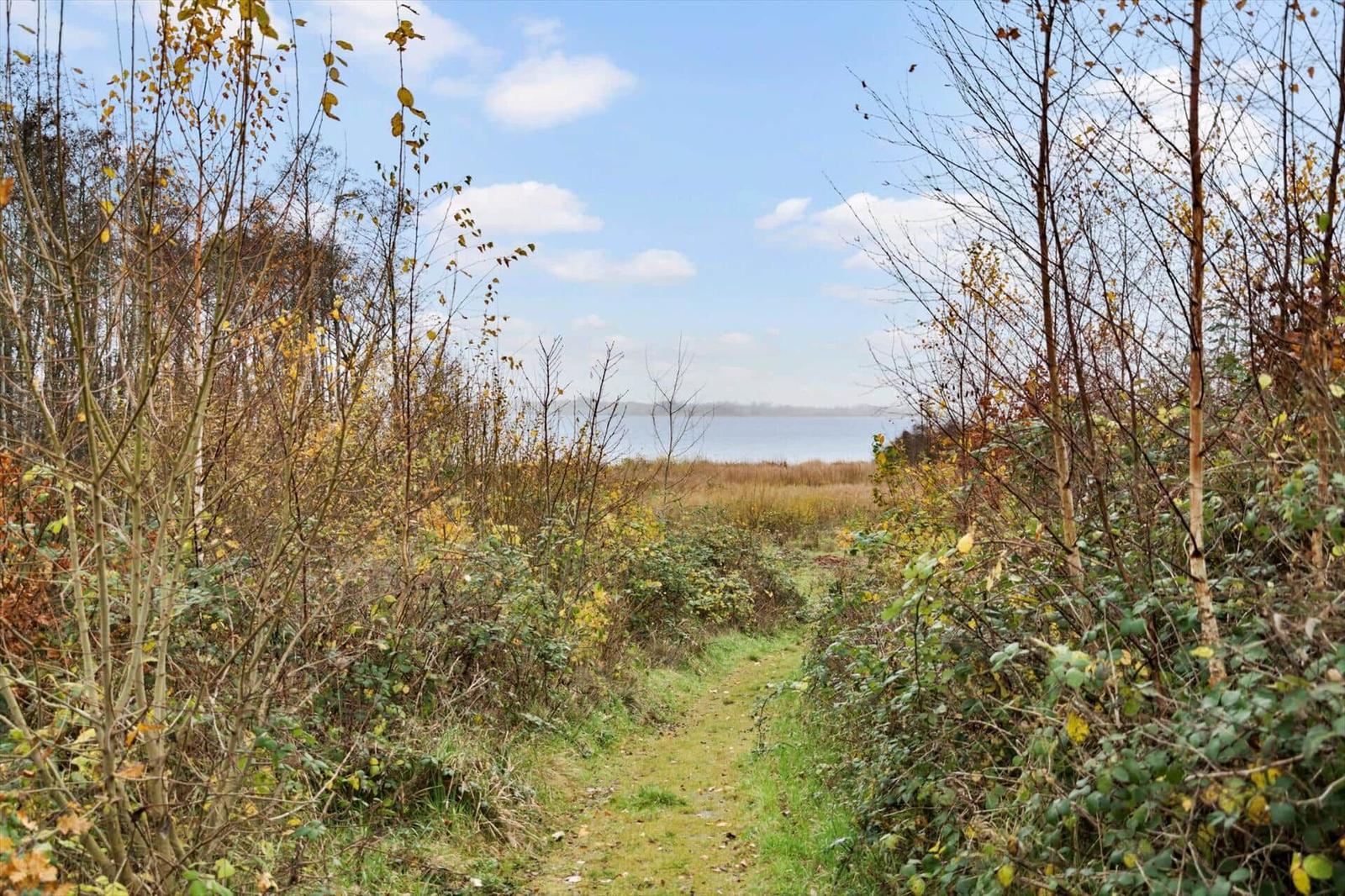 Path through woods leads to lake. Trees and grass line the trail.