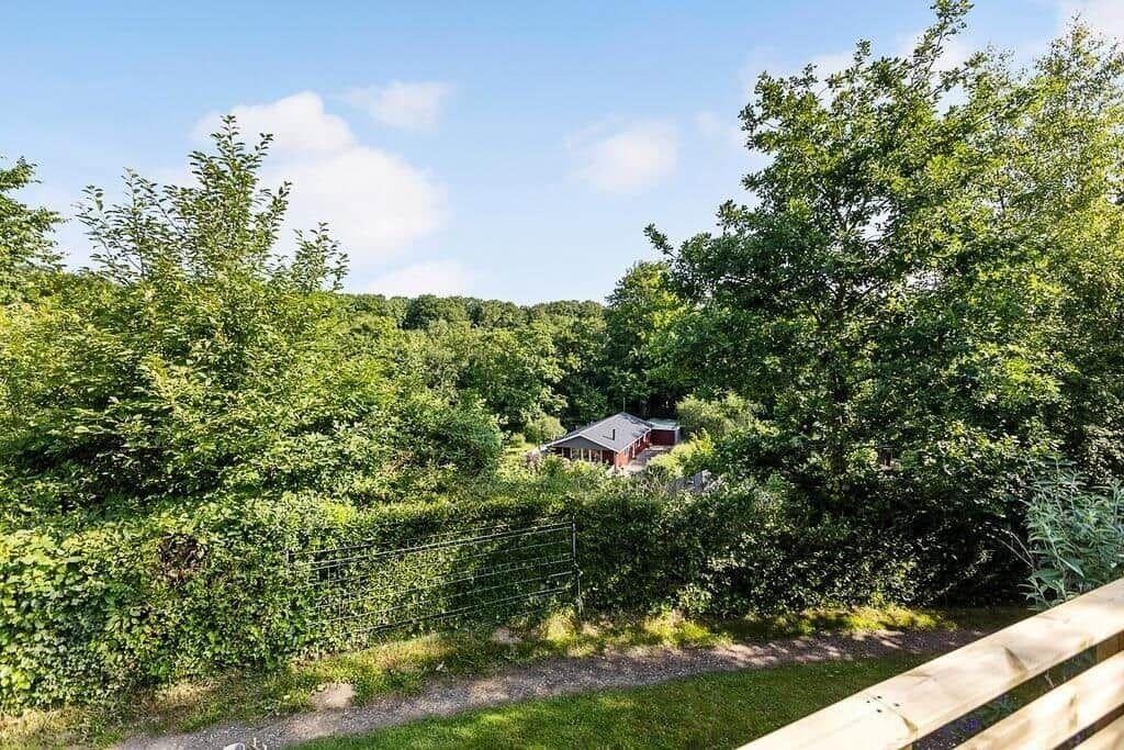 House surrounded by trees and shrubs, with a view of the forest.