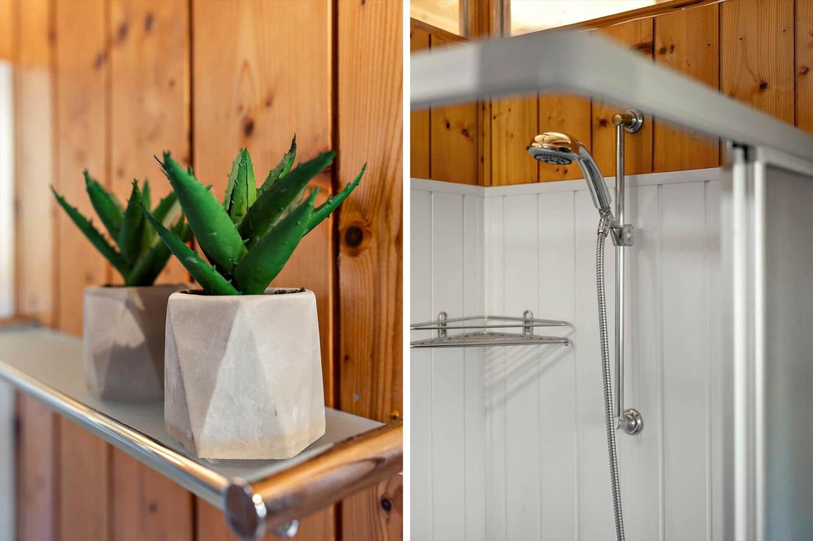 Bath with shower and plants on the shelf