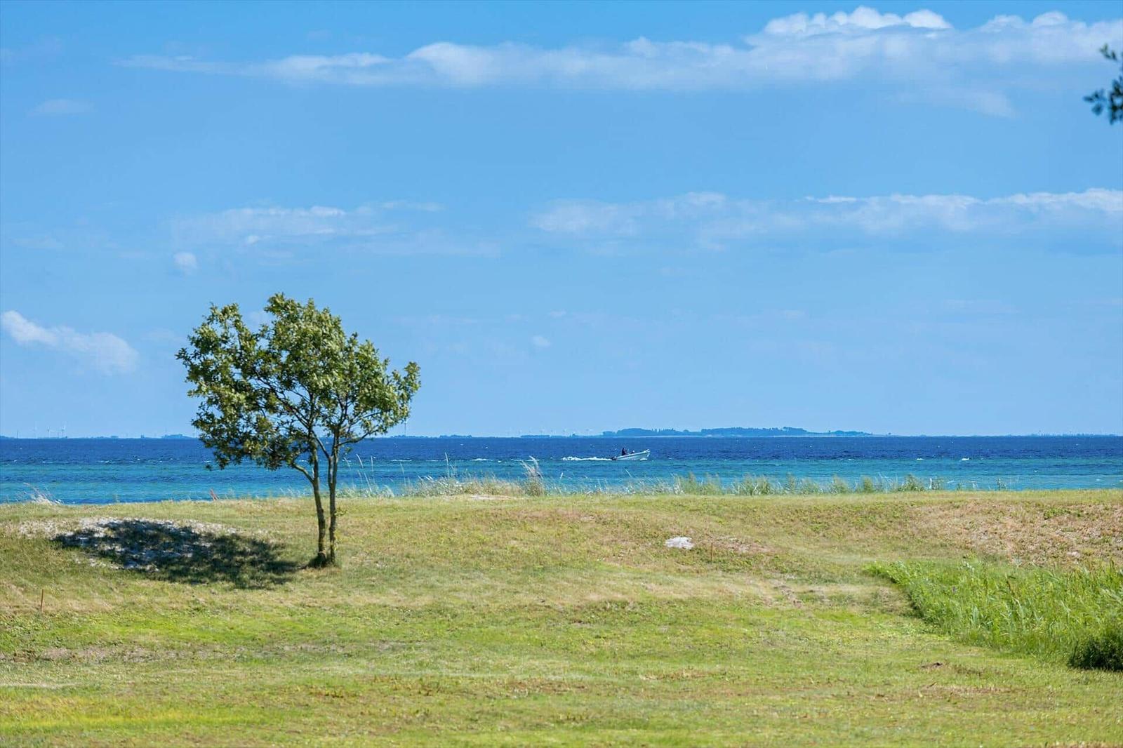 Einzelbaum auf grasigem Hang mit Blick auf das Meer und eine Bootsfahrt.