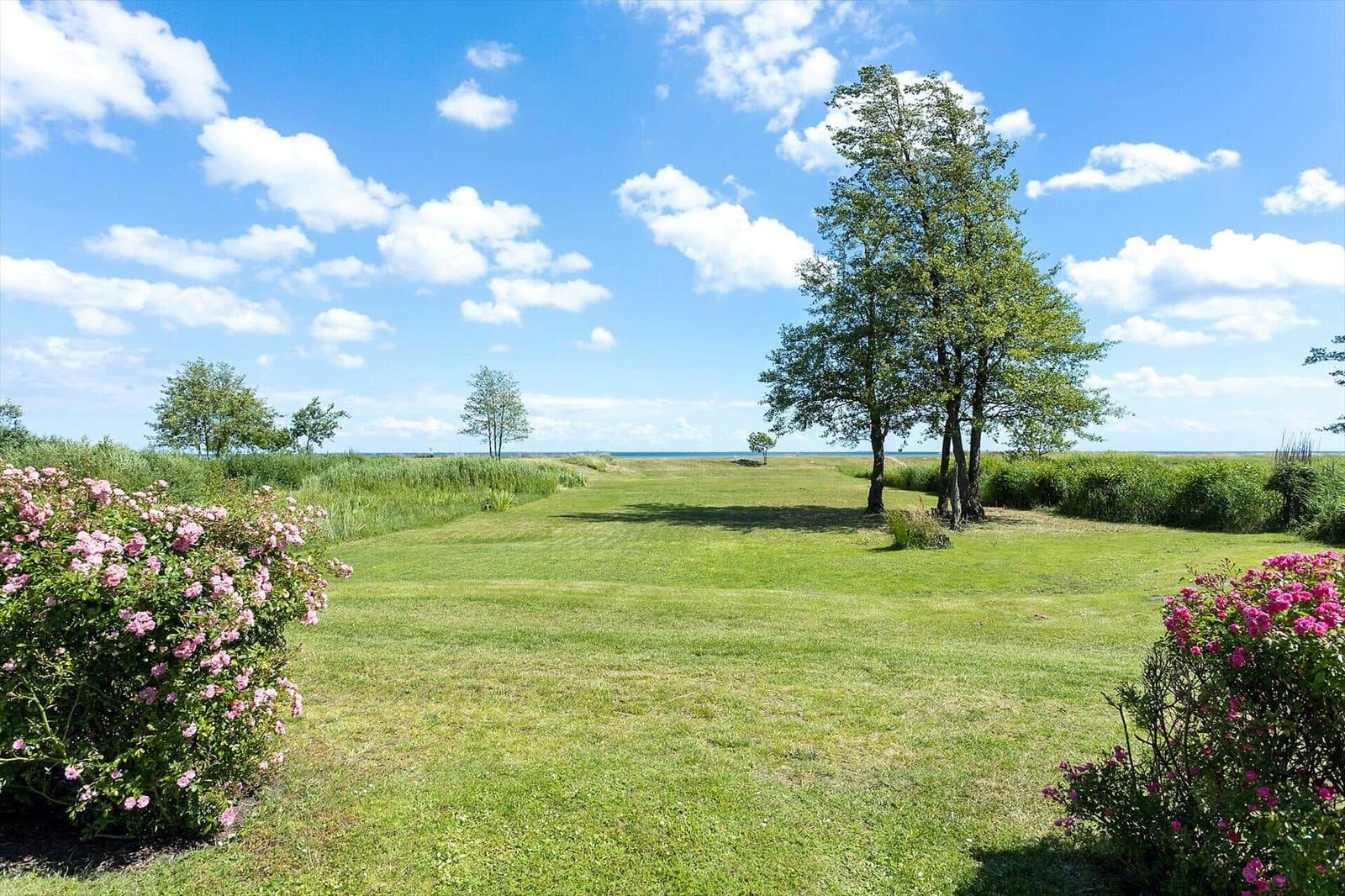 Grüner Rasenbereich mit Bäumen und rosa Sträuchern, Blick auf das Meer unter blauem Himmel.