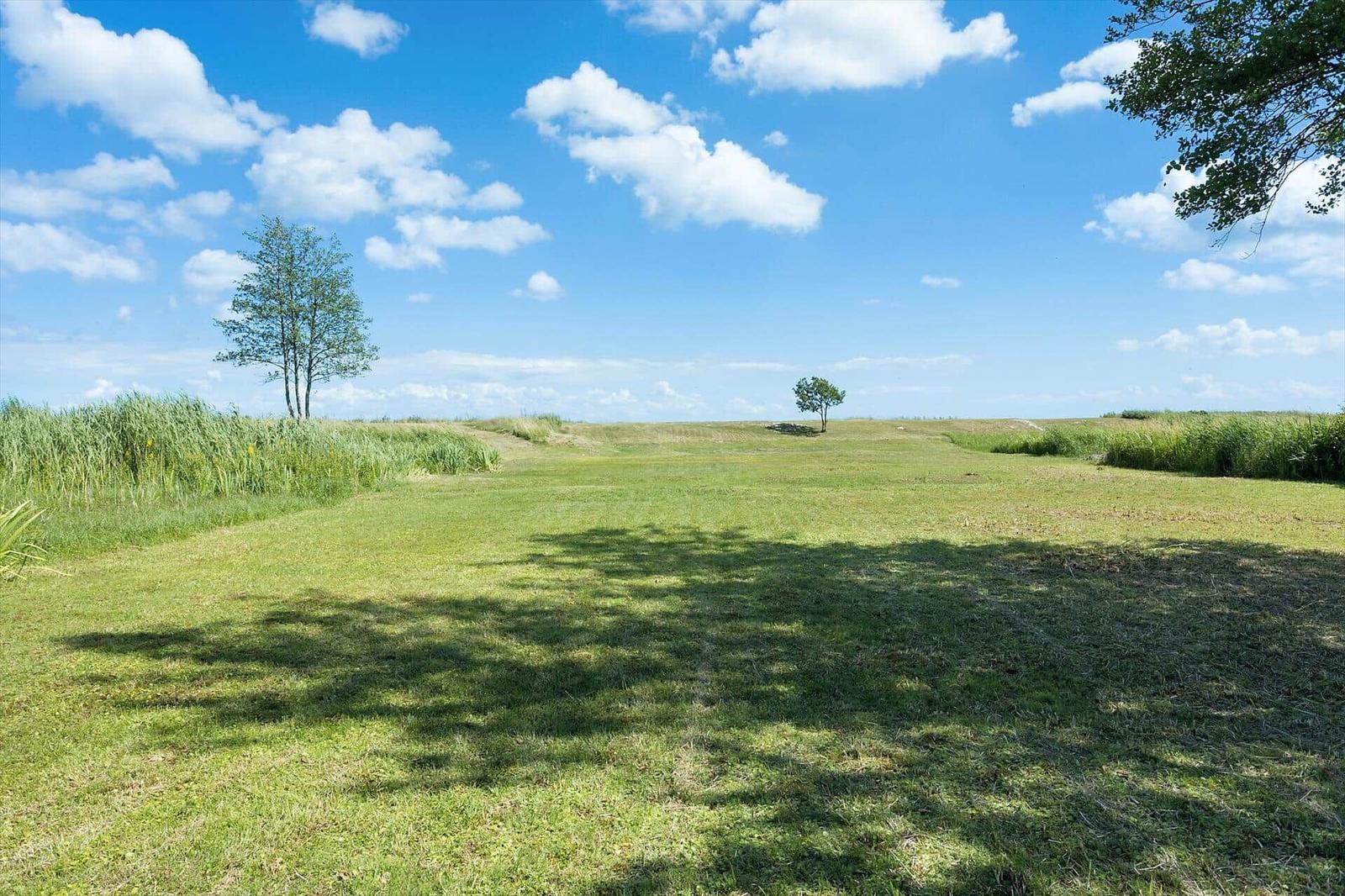 Grünes Feld mit Bäumen und hohem Gras unter blauem Himmel mit weißen Wolken.