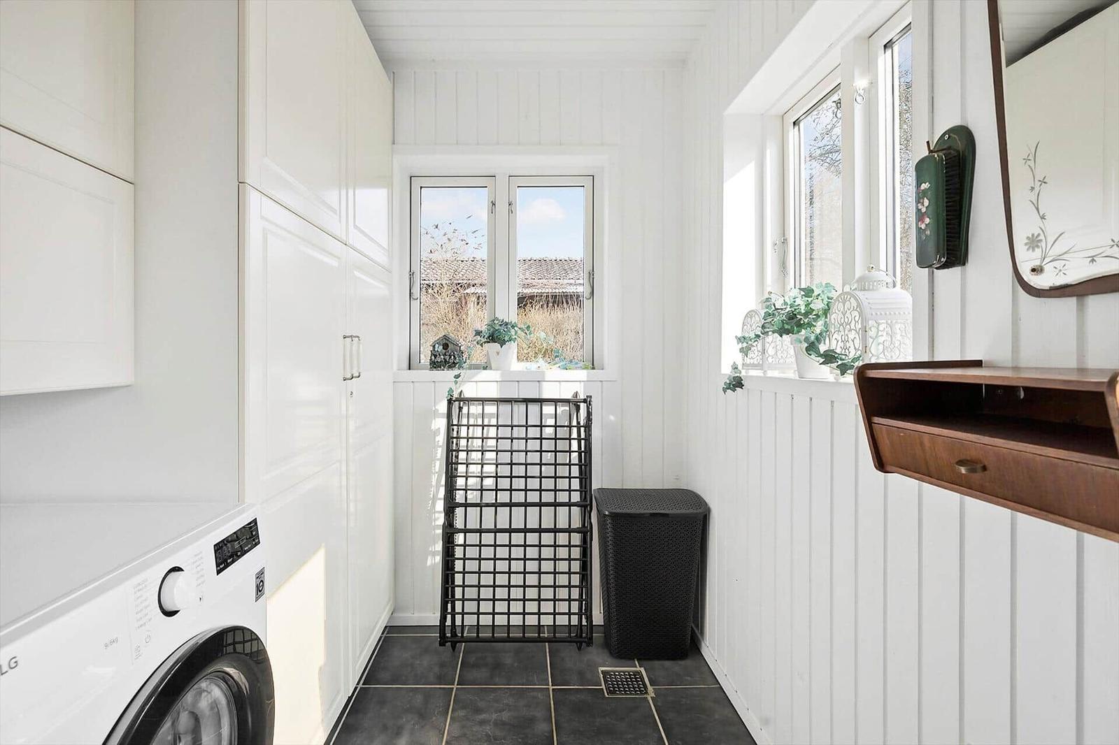 Laundry room with washing machine, windows, and plants