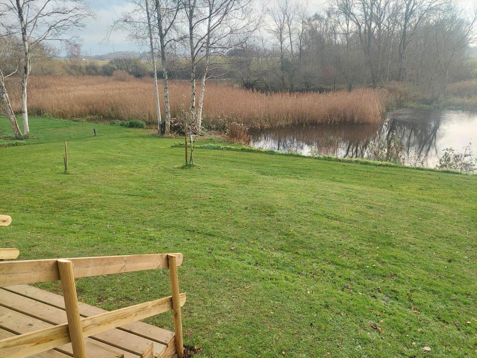 Grüner Rasenbereich mit Holzbank und Blick auf einen See mit Rohrkolben und Bäumen.