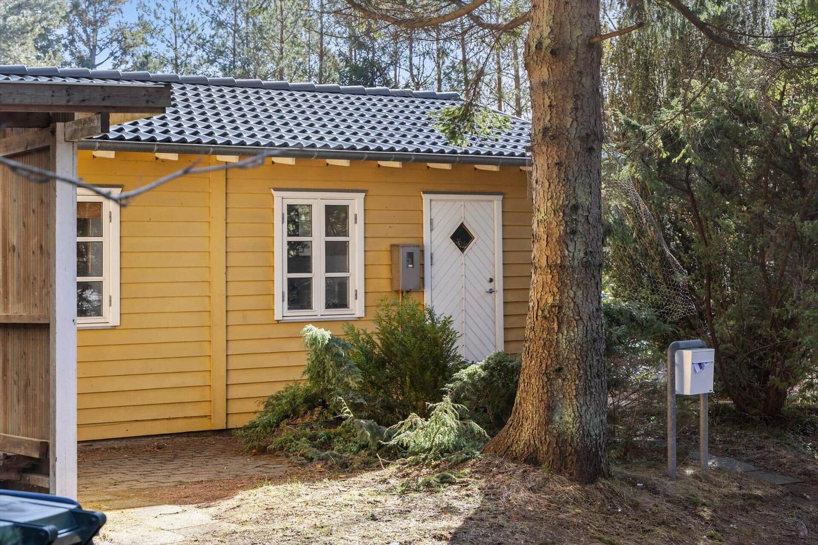 Gelbes Haus mit weißer Tür und Fenstern, umgeben von Bäumen und Sträuchern.