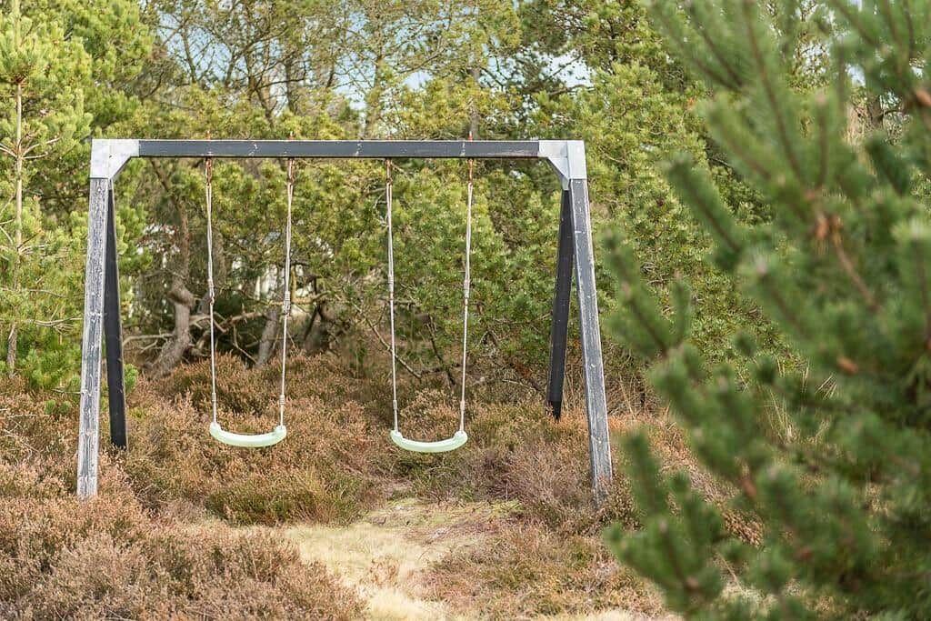 Zwei Schaukeln in einem Waldgebiet mit Nadelbäumen und Sträuchern.