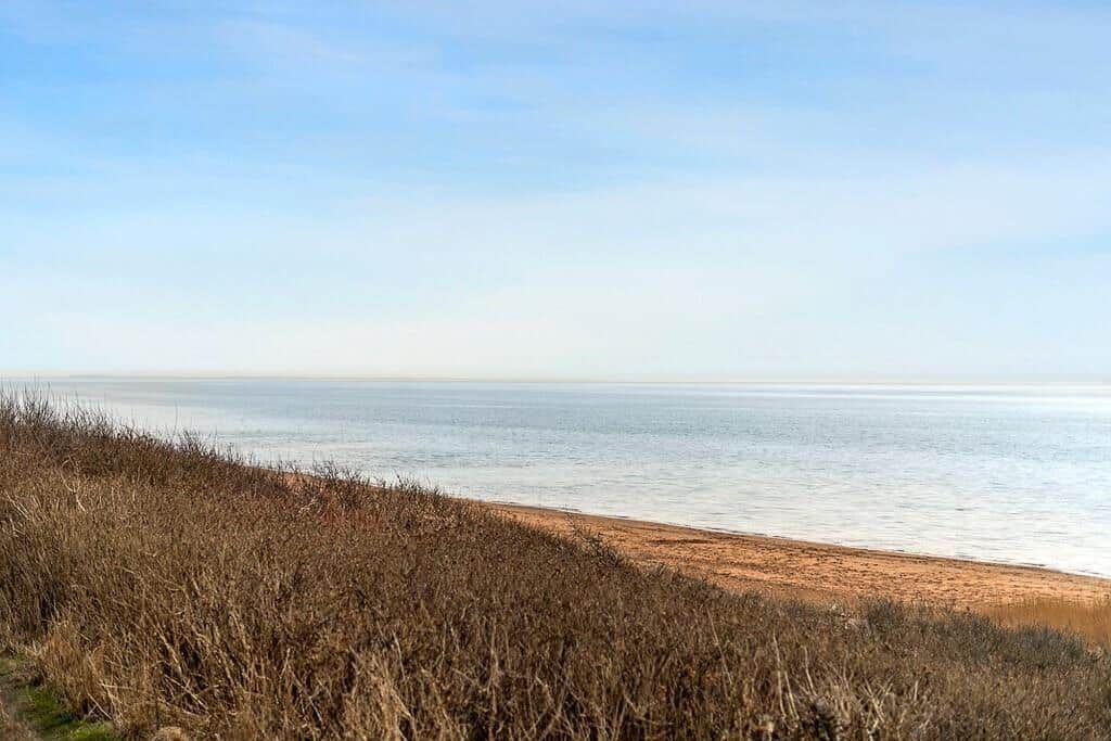 Strand mit sandigem Ufer und trockenem Gras im Vordergrund unter blauem Himmel.