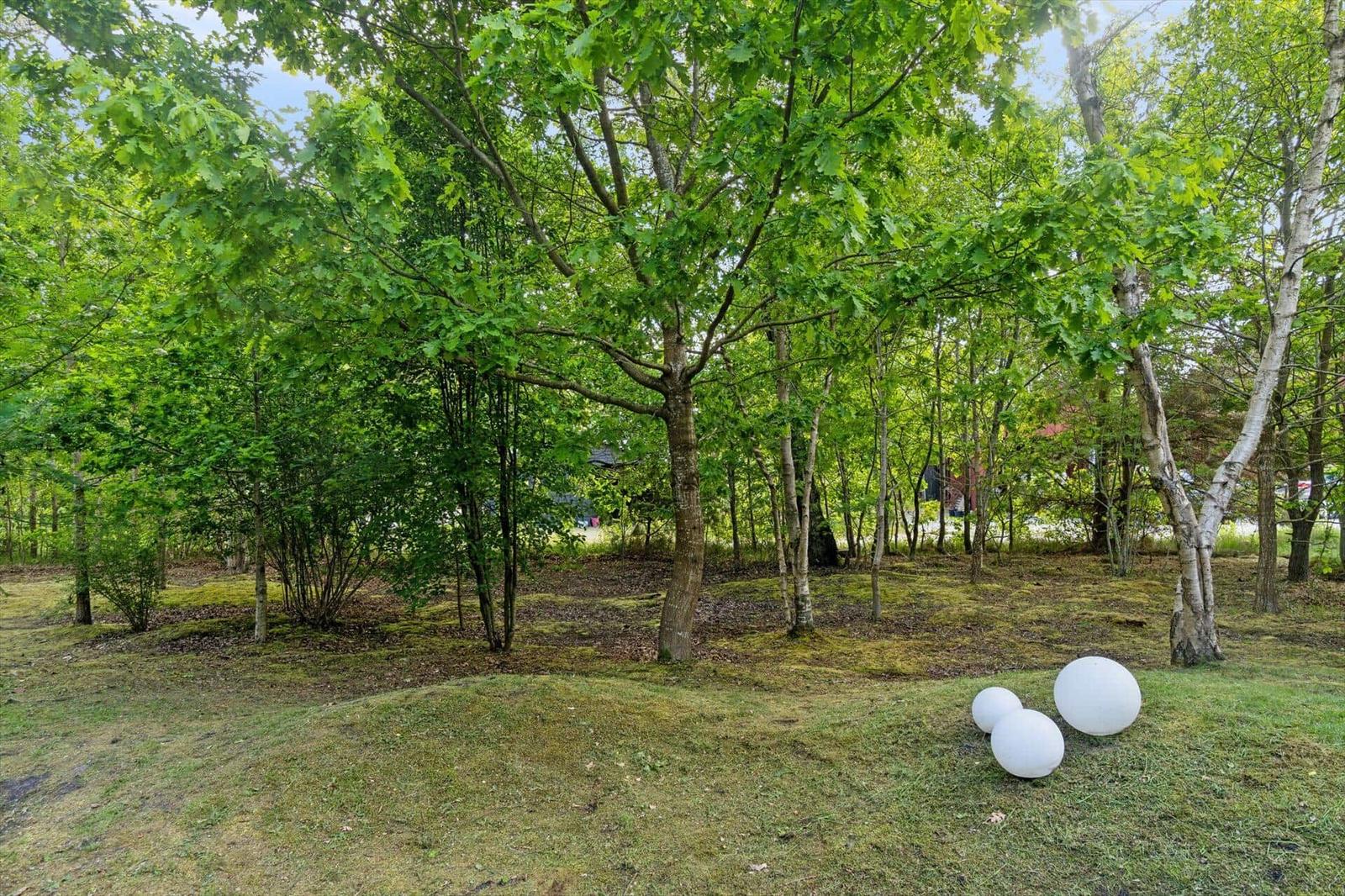 Grüner Wald mit Bäumen und weißen Kugeln im Vordergrund.