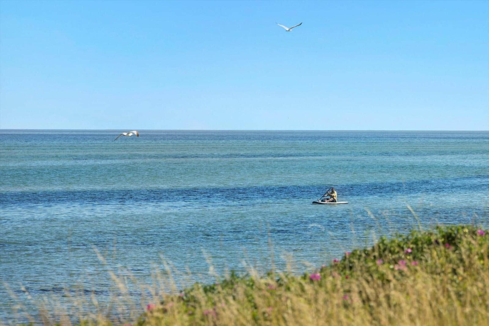 A paddleboarder floats on the sea, two seagulls fly overhead.