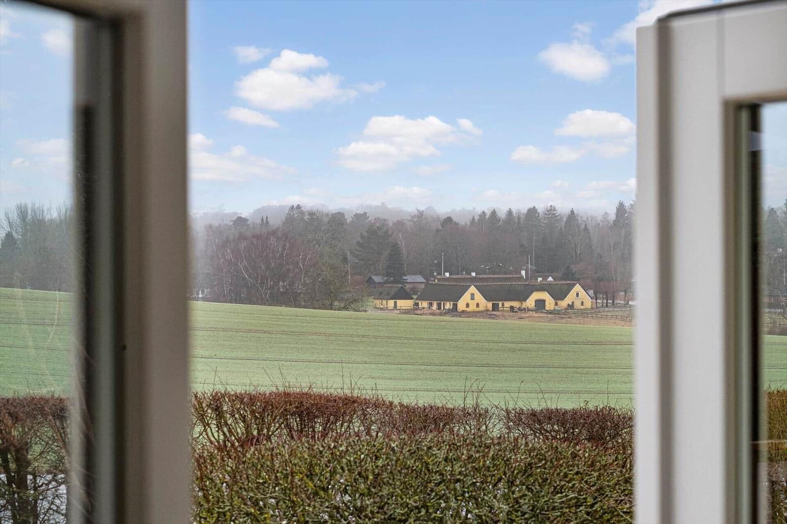 From the window, you see a green field and yellow farmhouses.