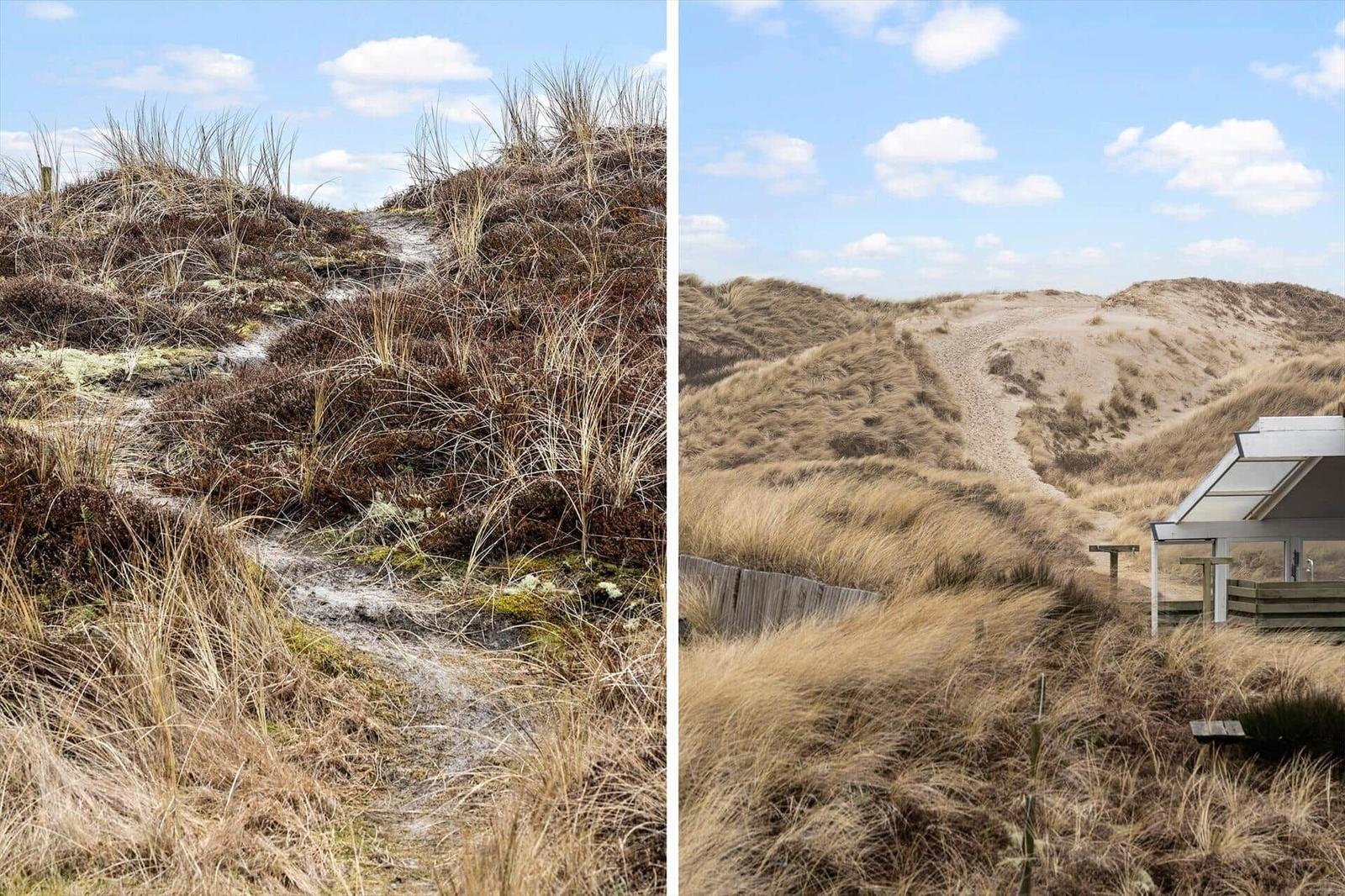 Dünenlandschaft mit sandigem Pfad und moderner Hütte