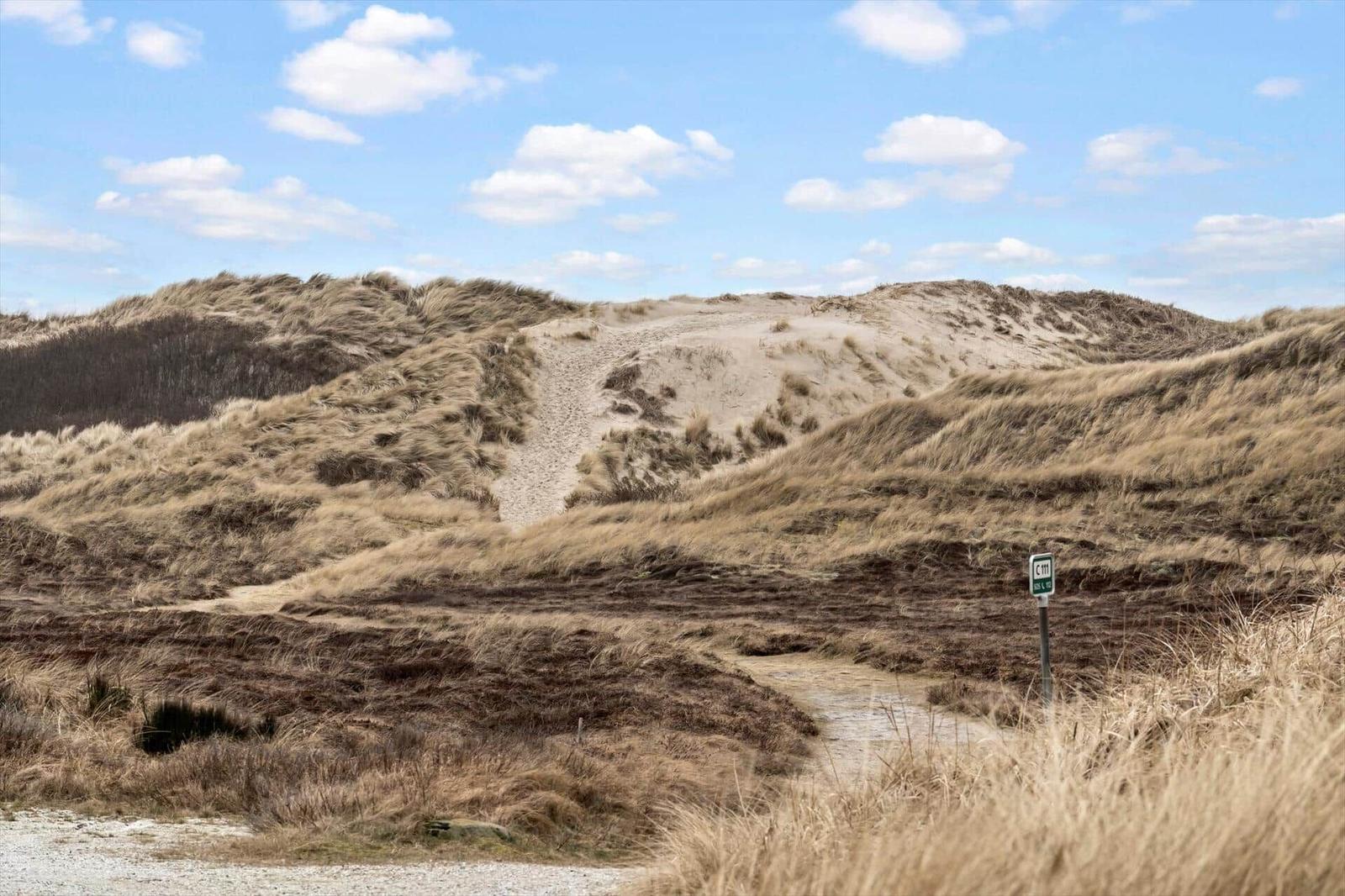 Wanderweg durch Dünenlandschaft unter blauem Himmel mit weißen Wolken.