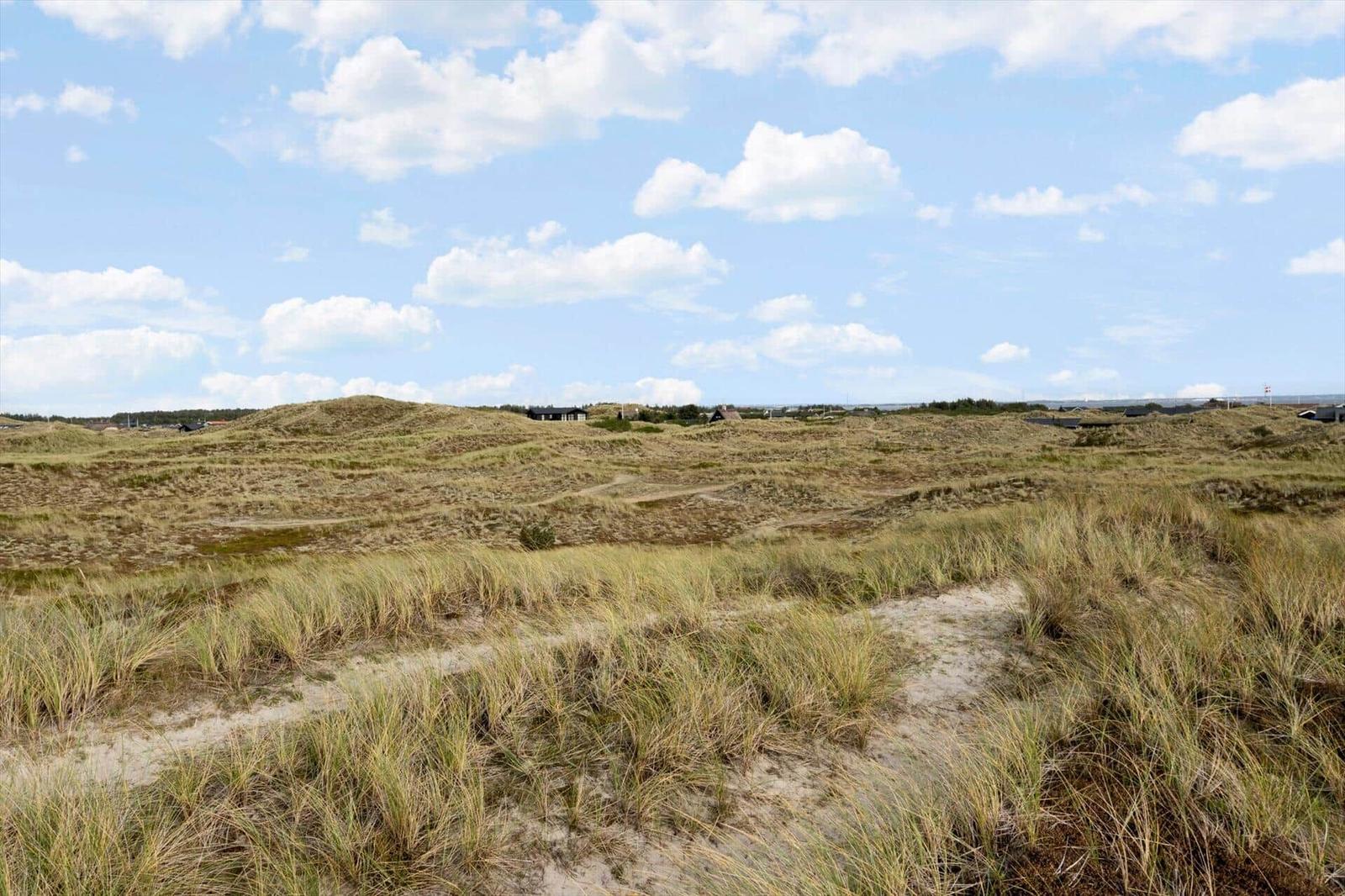 Dünenlandschaft mit Gräsern und einem Pfad unter blauem Himmel mit Wolken.
