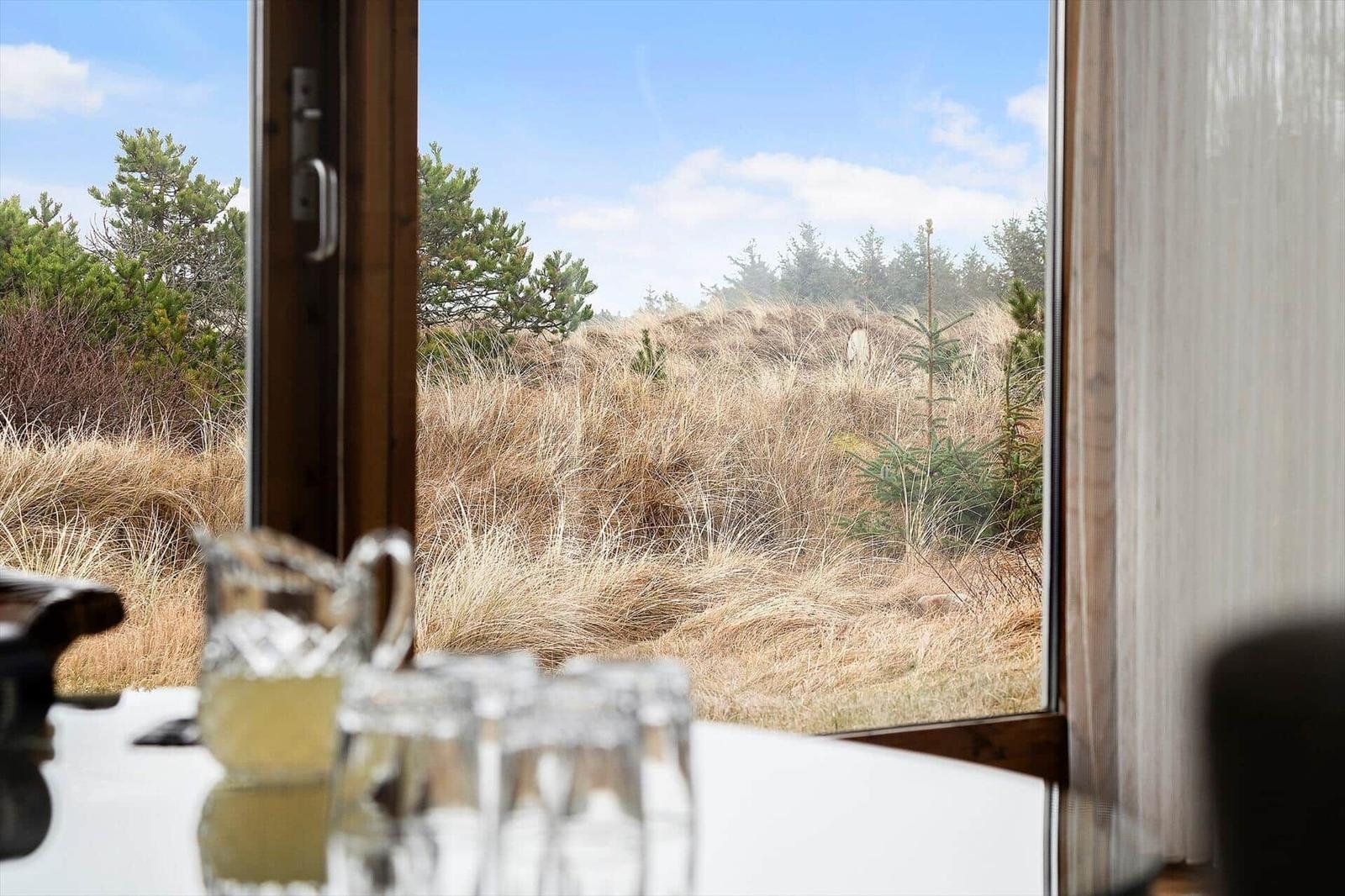 Durch das Fenster blickt man auf eine grasbewachsene Landschaft mit Bäumen.