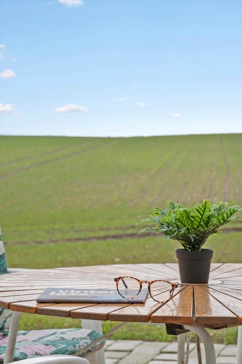 Holztisch mit Brille, Pflanze und Zeitschrift vor grünem Feld.