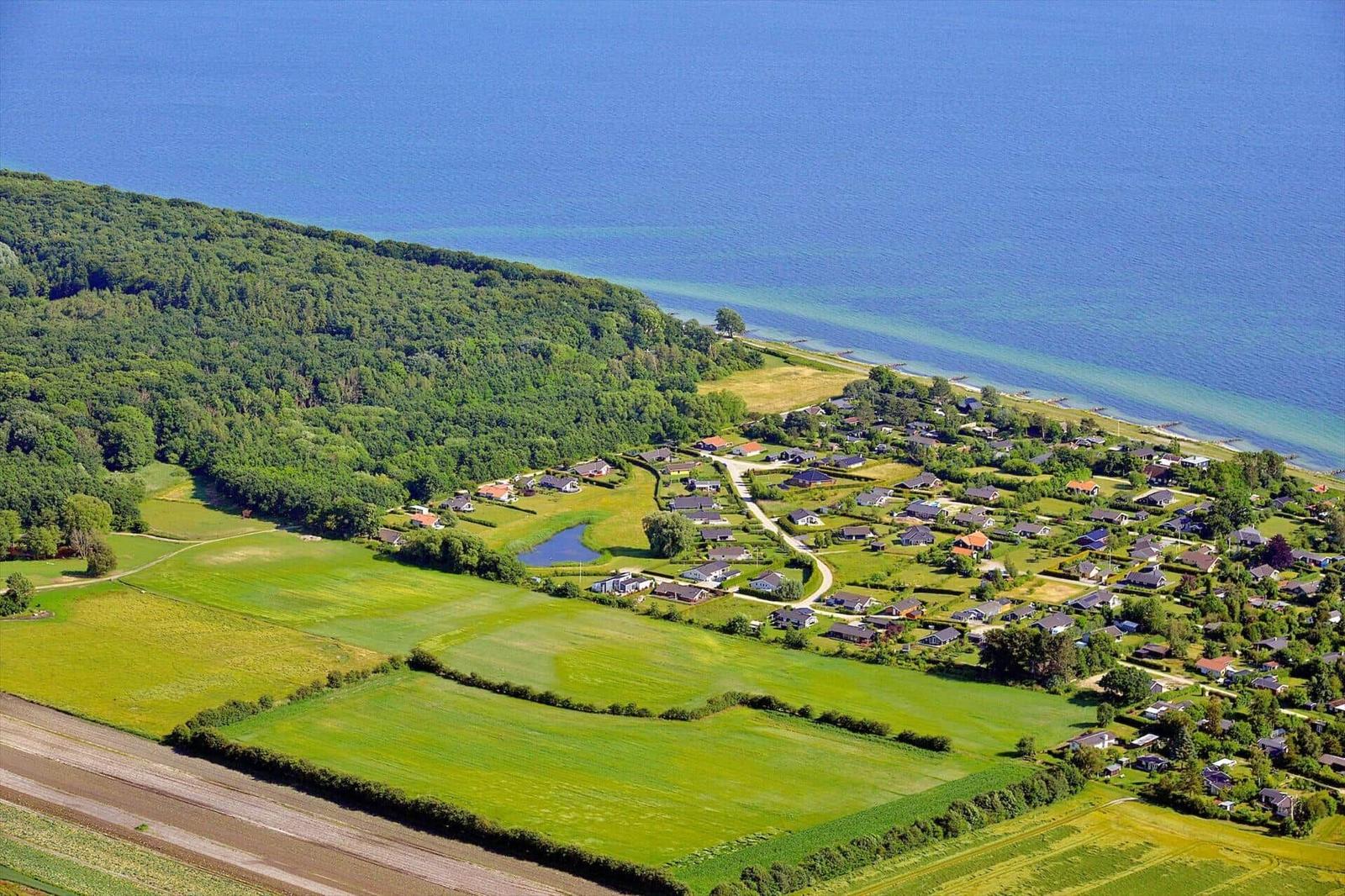 Aerial view of a village by a lake with green meadows and forest