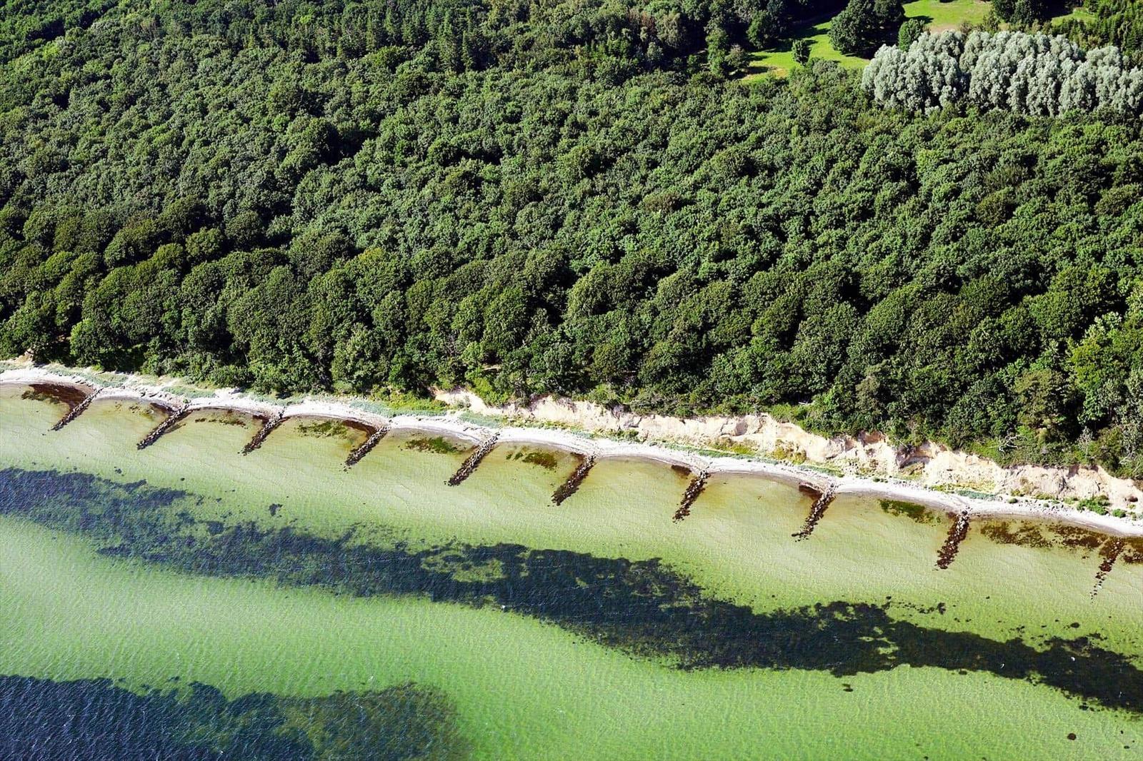 Aerial view of a forested coastline with clear water and stone breakwaters.