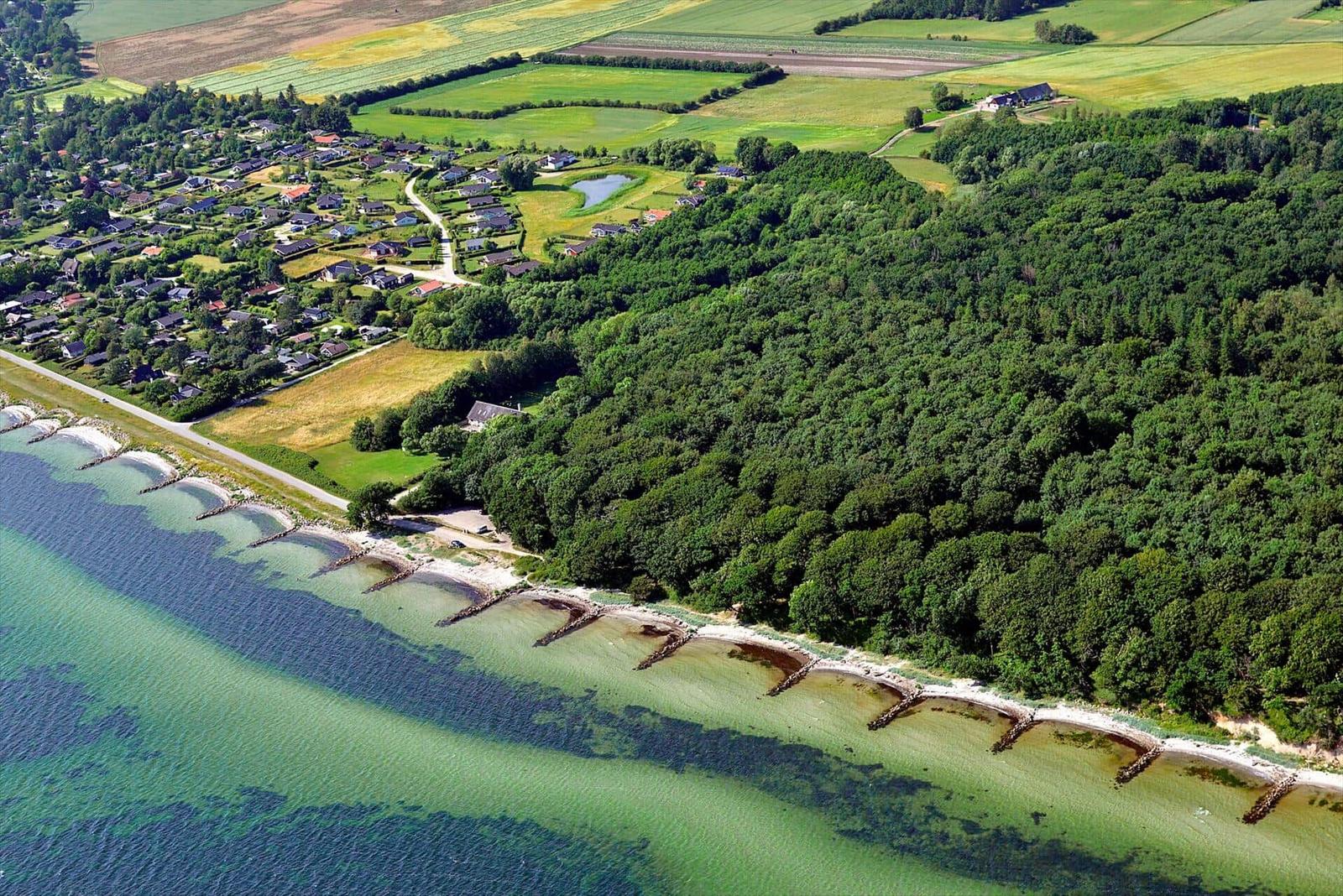 Aerial view of coastal area with forest, fields, and houses near water.