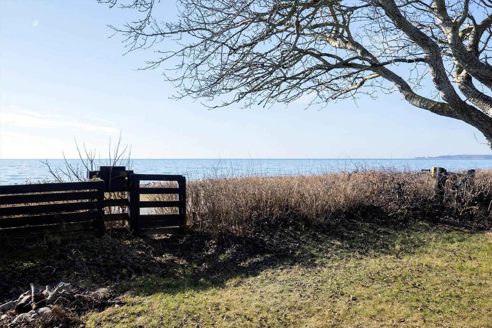 Behind a wooden fence, a view of the sea is visible under a bare tree.