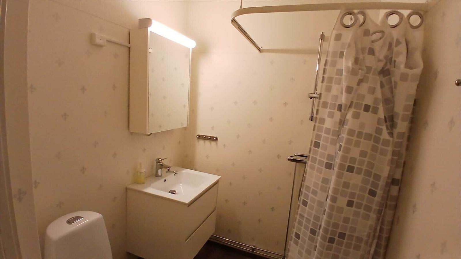 Badezimmer mit Dusche, Waschbecken und Spiegelschrank.