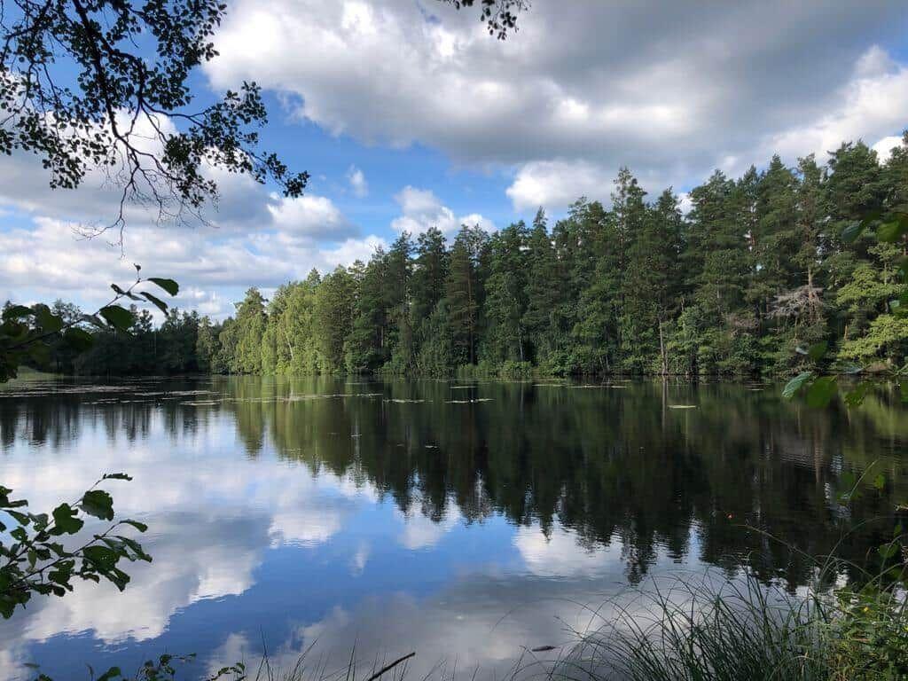 See mit Waldspiegelung unter blauem Himmel