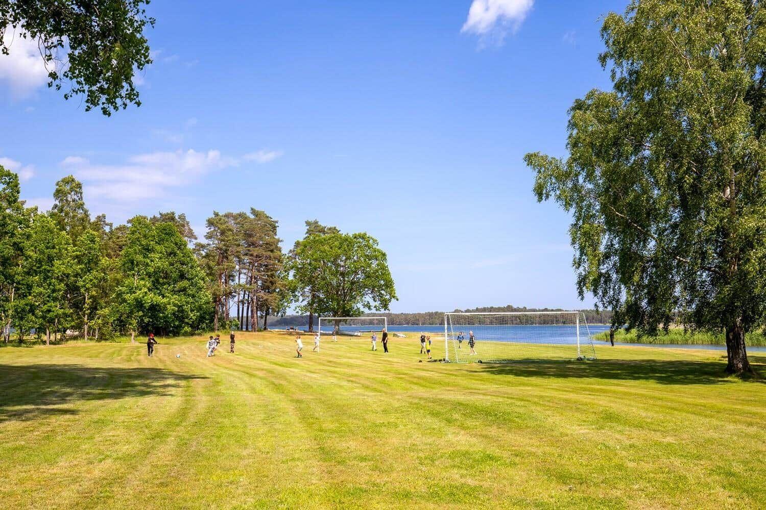 Grünes Feld mit Fußballtor am See, umgeben von Bäumen unter blauem Himmel.