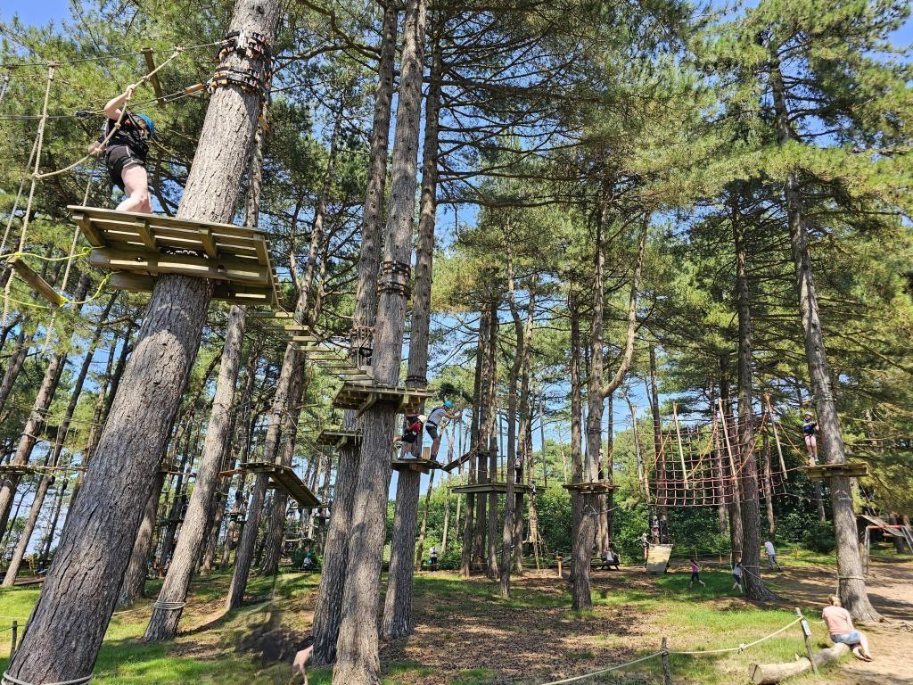 Hochseilgarten im Wald mit Plattformen und Seilen zwischen Bäumen.