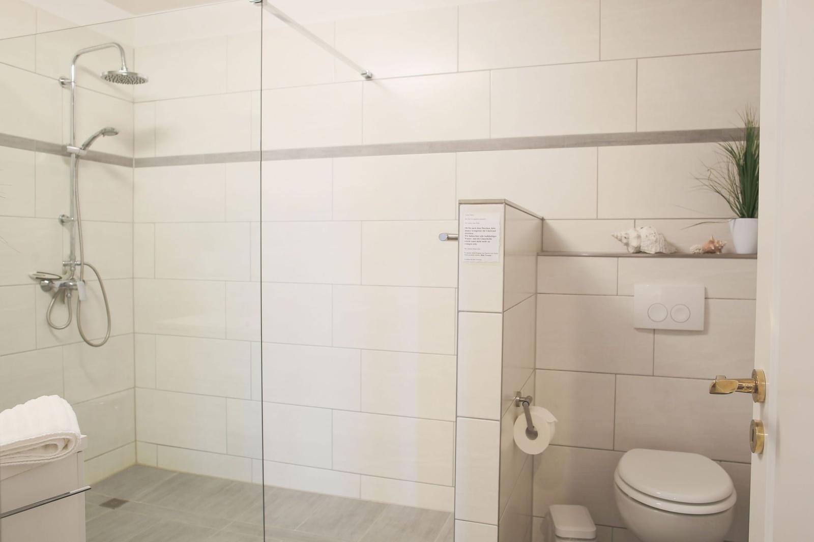 Badezimmer mit Dusche, Toilette und Pflanze auf der Ablage.