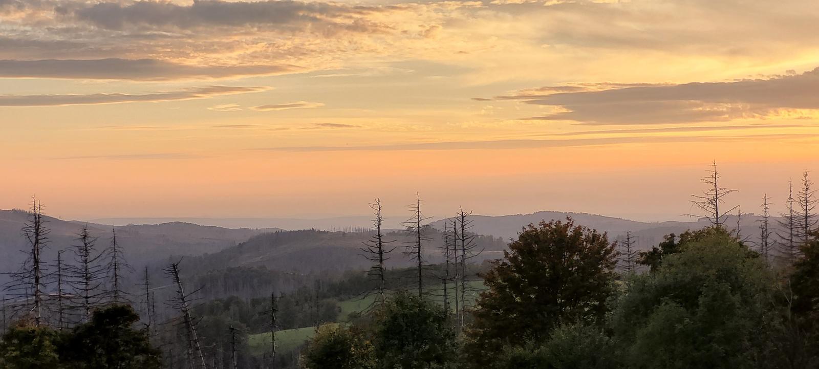 Sonnenuntergang über bewaldeten Hügeln mit Blick auf entfernte Berge.