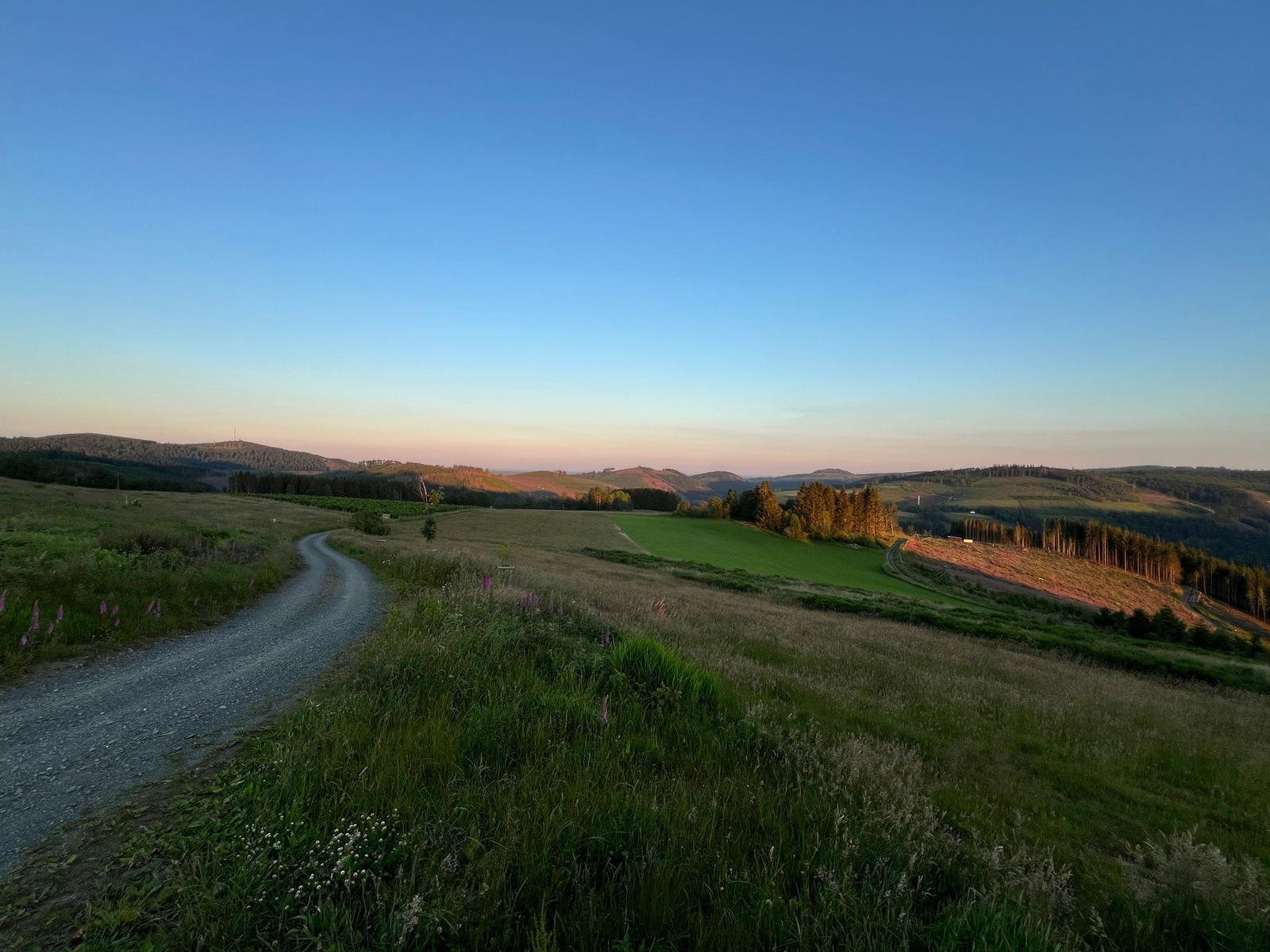 Wiesenweg durch grüne Landschaft mit Bergen im Hintergrund bei Sonnenuntergang.