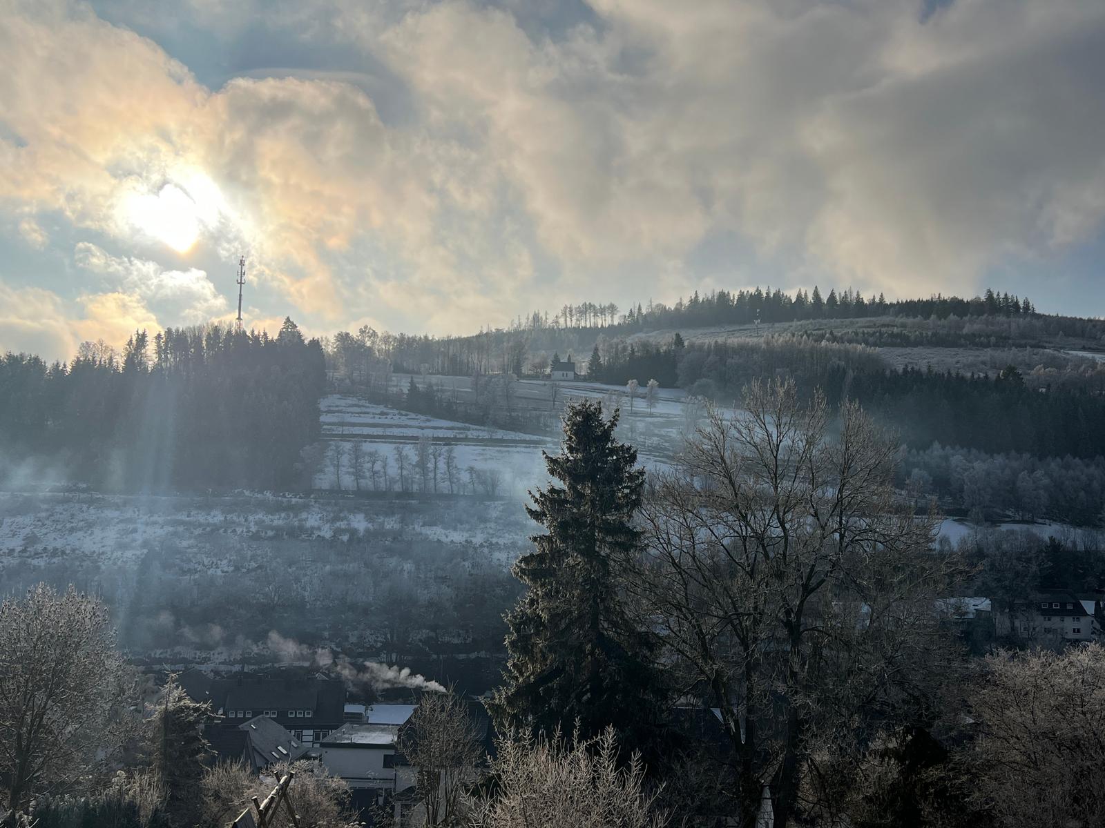 Schneebedeckte Landschaft mit Wald, Feldern und einem Turm unter bewölktem Himmel.