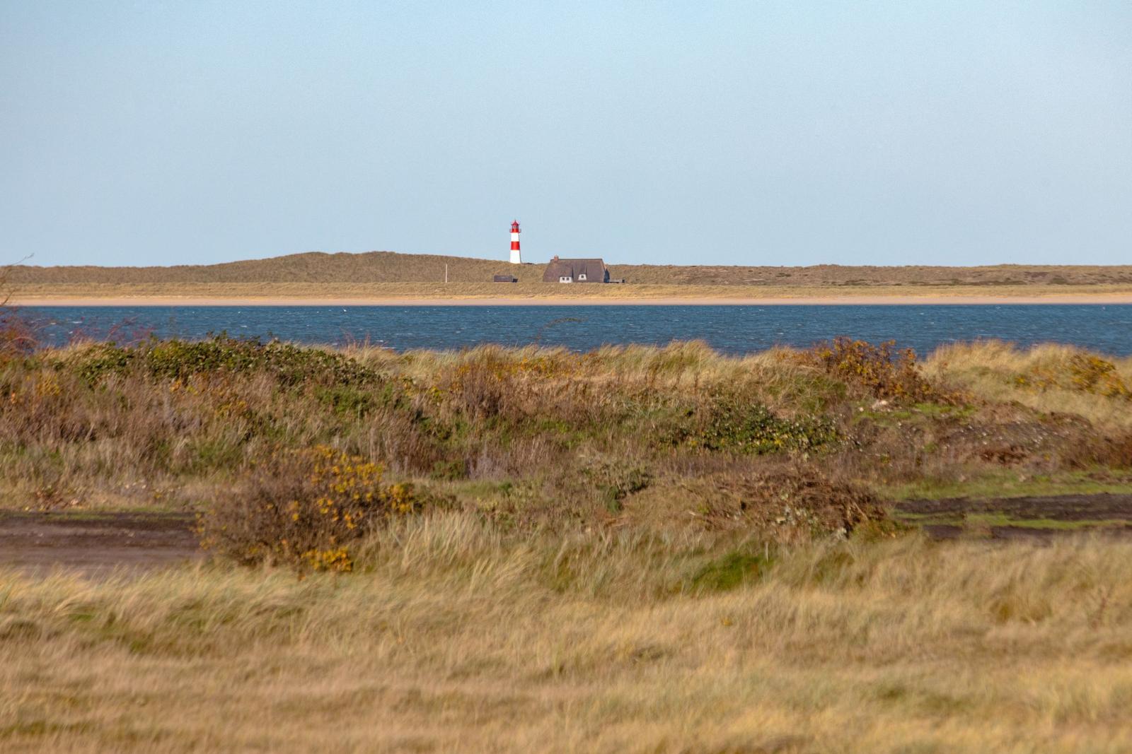 Rotes Leuchtturmhaus am Ufer mit Strand und Dünen im Hintergrund.