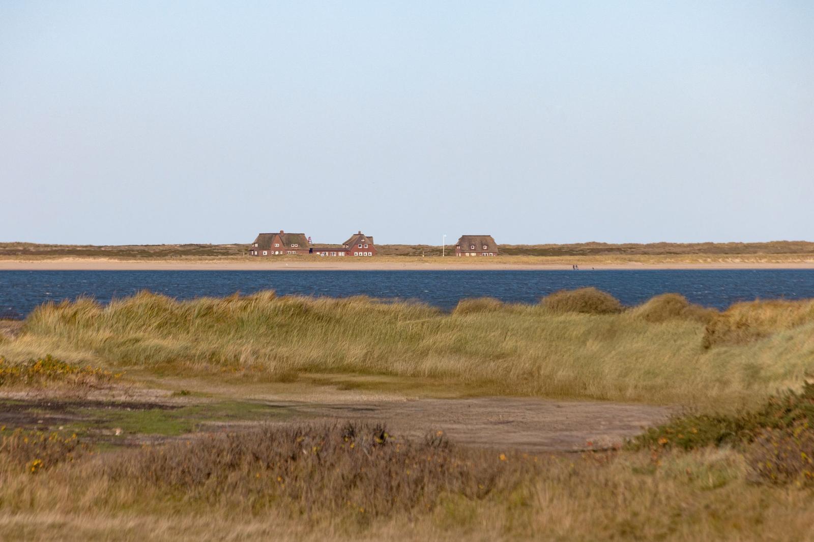 Drei Häuser am Strand mit Dünen im Vordergrund und Wasser im Hintergrund.