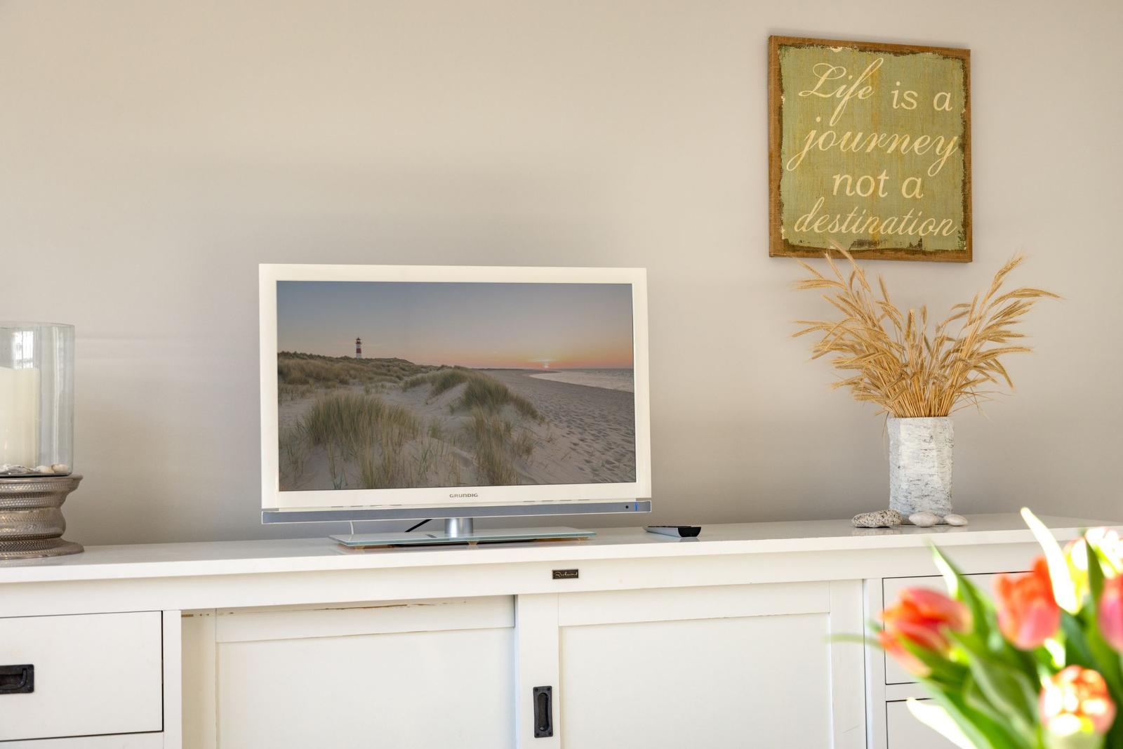 TV auf weißen Schrank, daneben Trockenblumen und Wandbild mit Motiv.