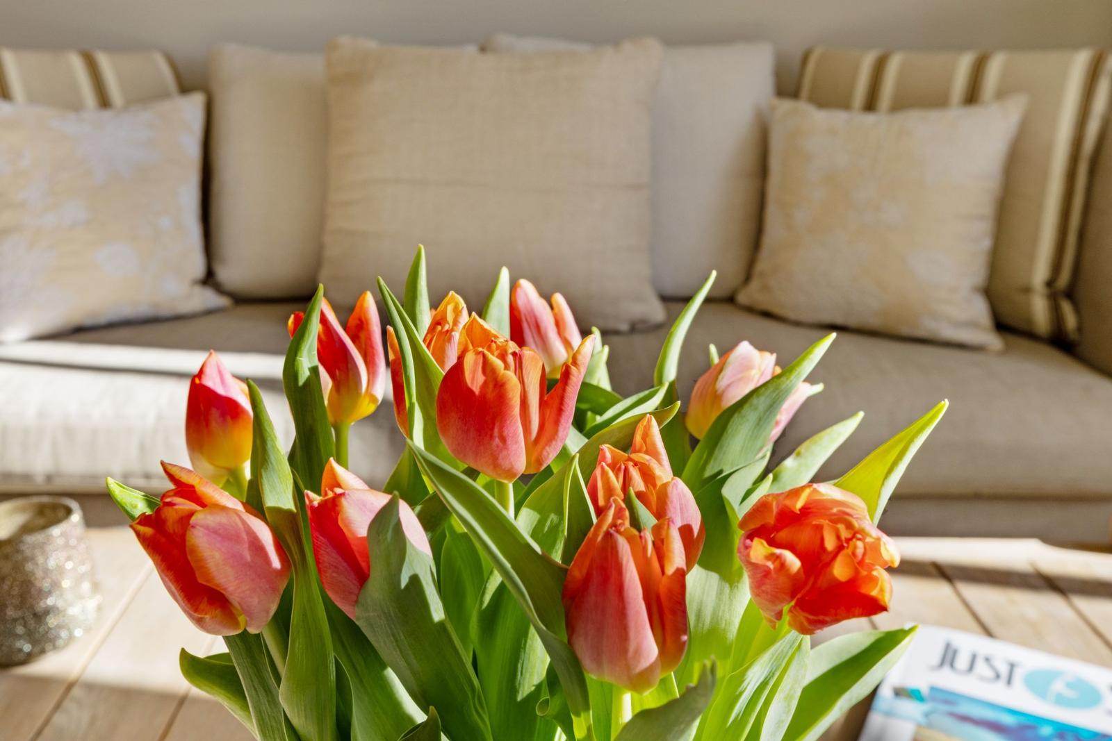 Tulpenblumen auf Tisch vor Sofa mit Kissen