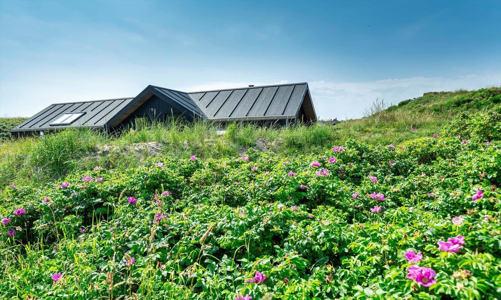 Moderne Hütte mit schwarzem Dach auf grüner Hügellandschaft mit rosa Blumen.